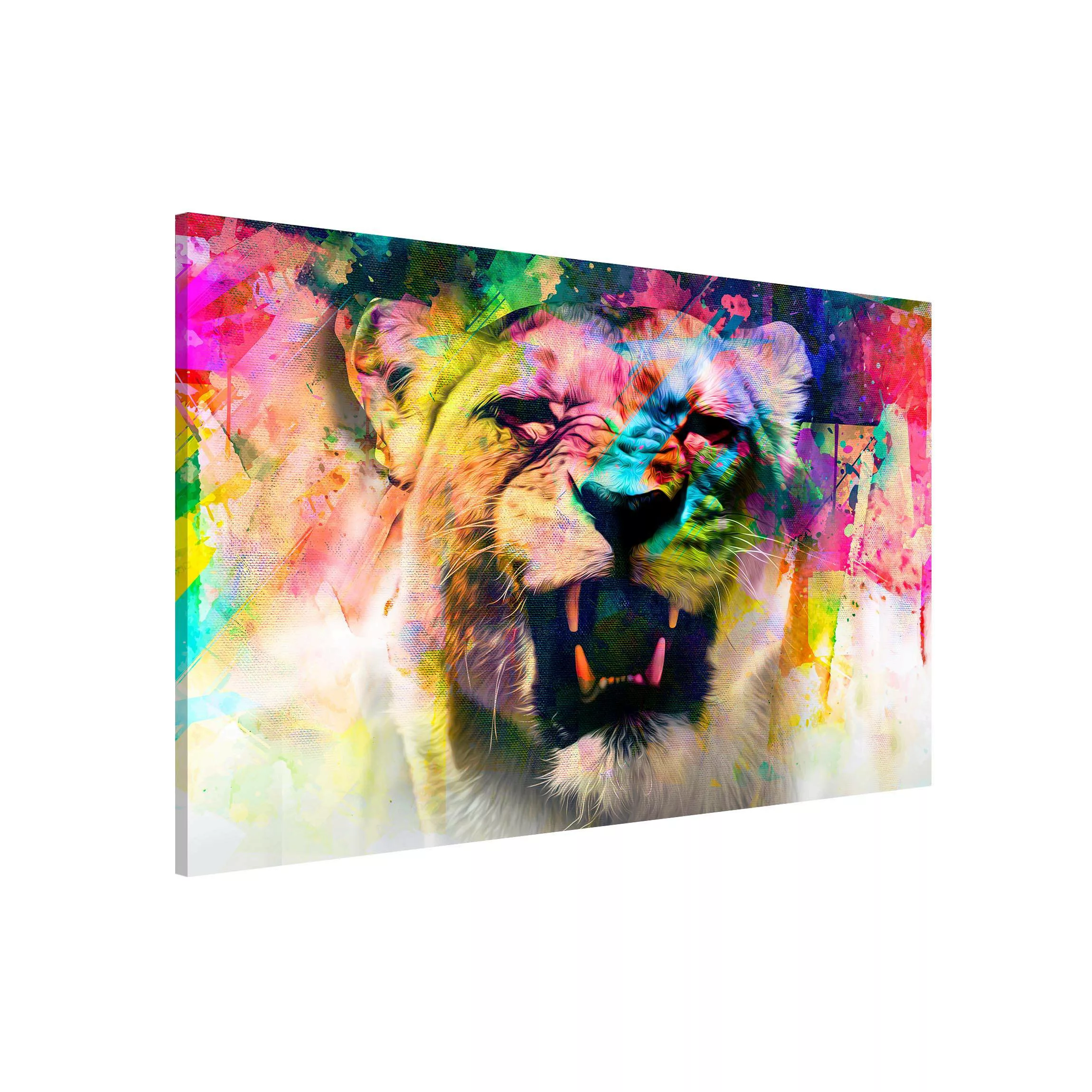 Magnettafel Street Art Lion günstig online kaufen