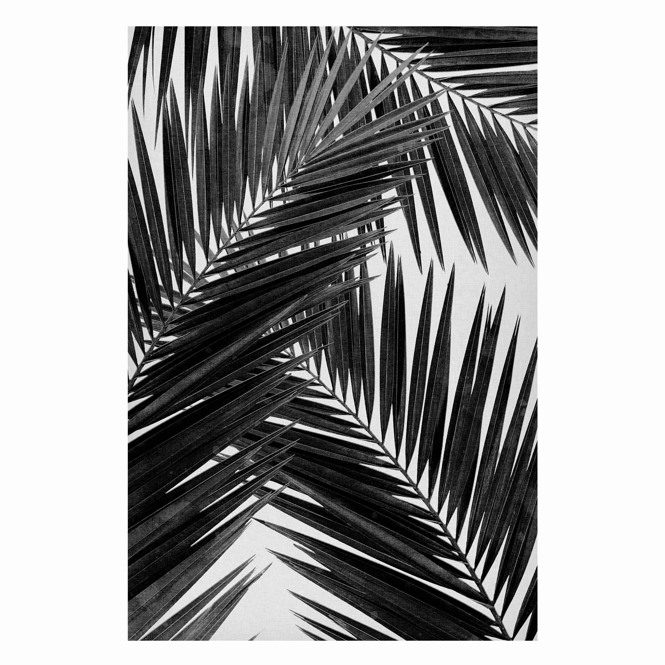 Magnettafel Blick durch Palmenblätter schwarz weiß günstig online kaufen