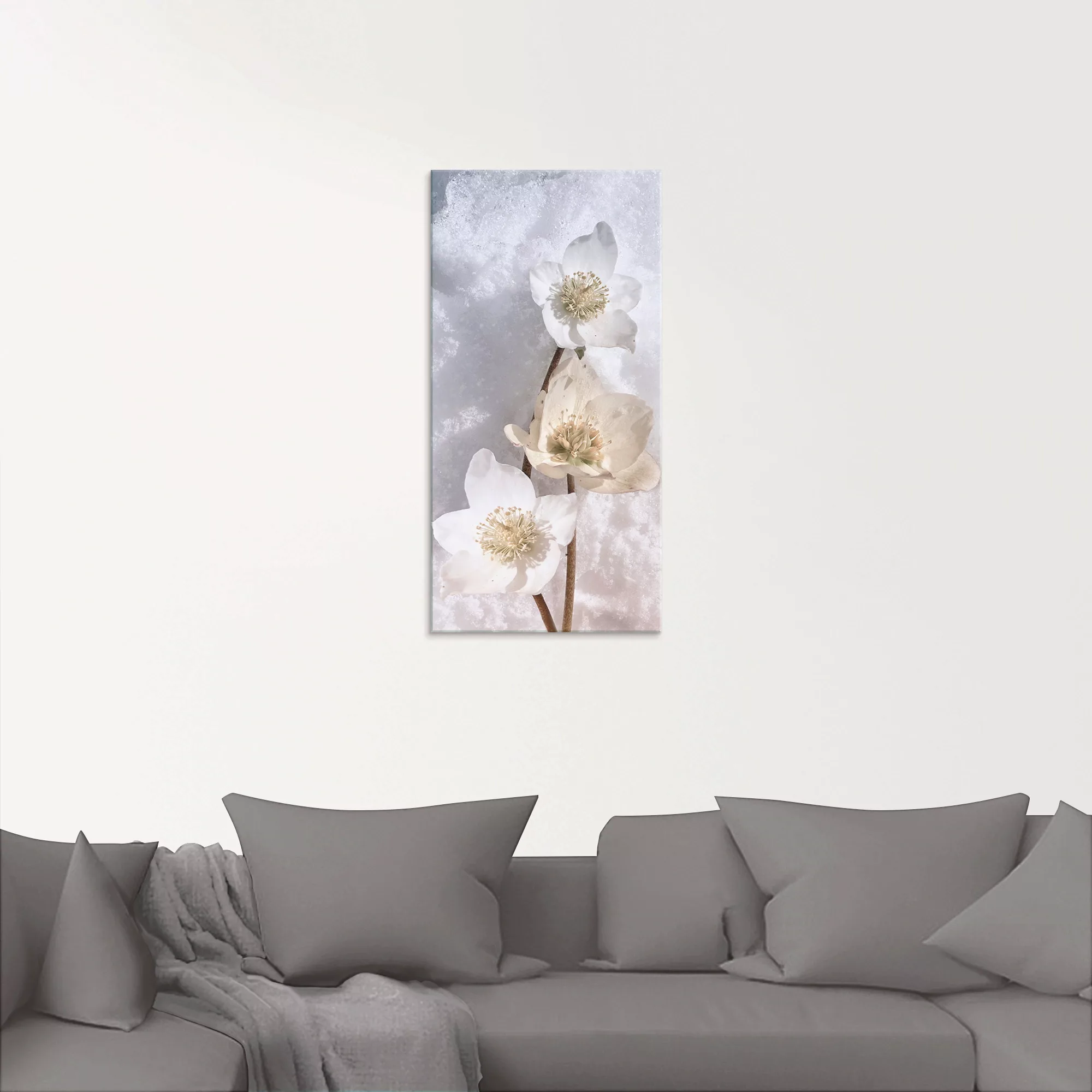 Artland Glasbild "Christrose im Schnee", Blumen, (1 St.) günstig online kaufen