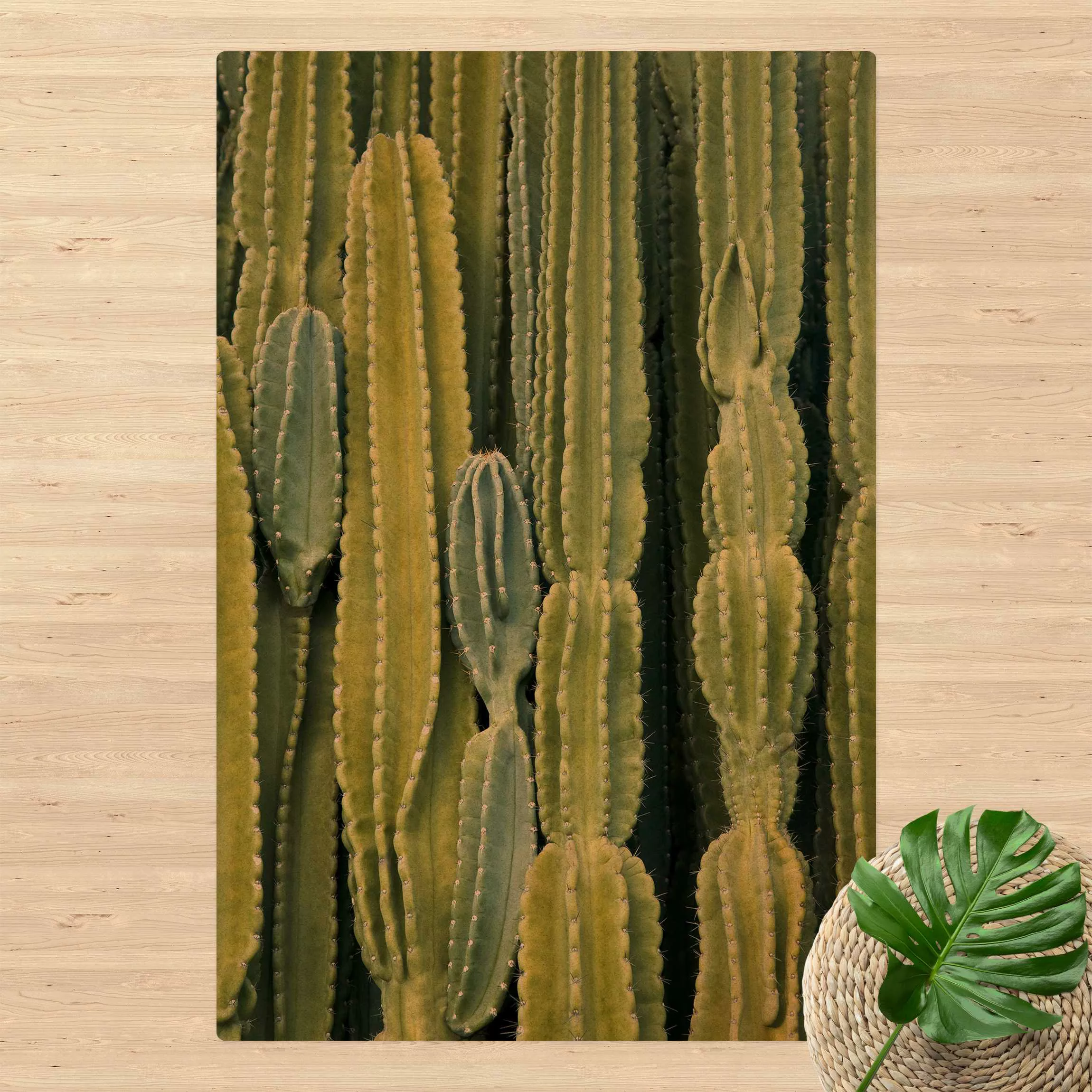 Kork-Teppich Kaktus Wand günstig online kaufen