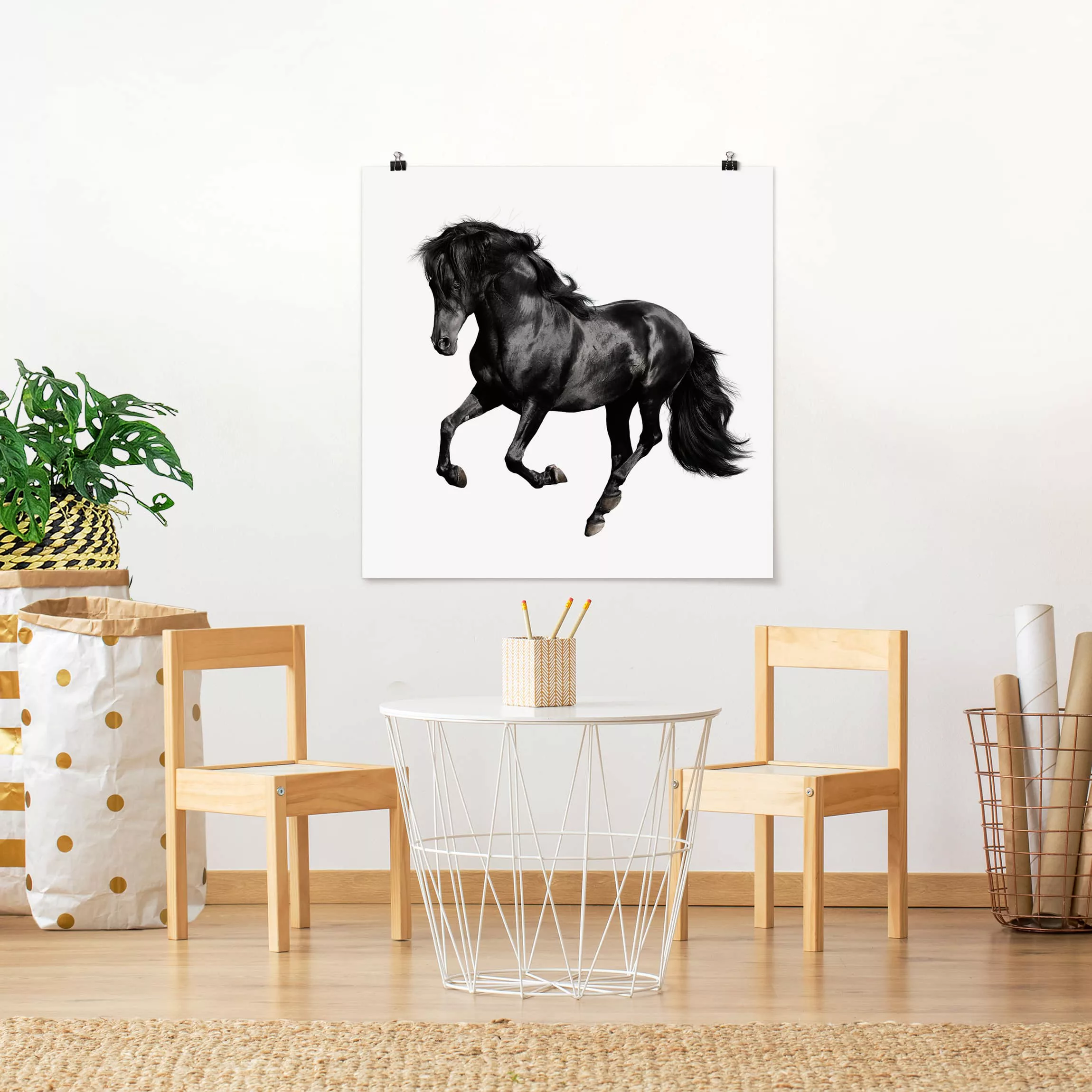 Poster Tiere - Quadrat Araberhengst günstig online kaufen