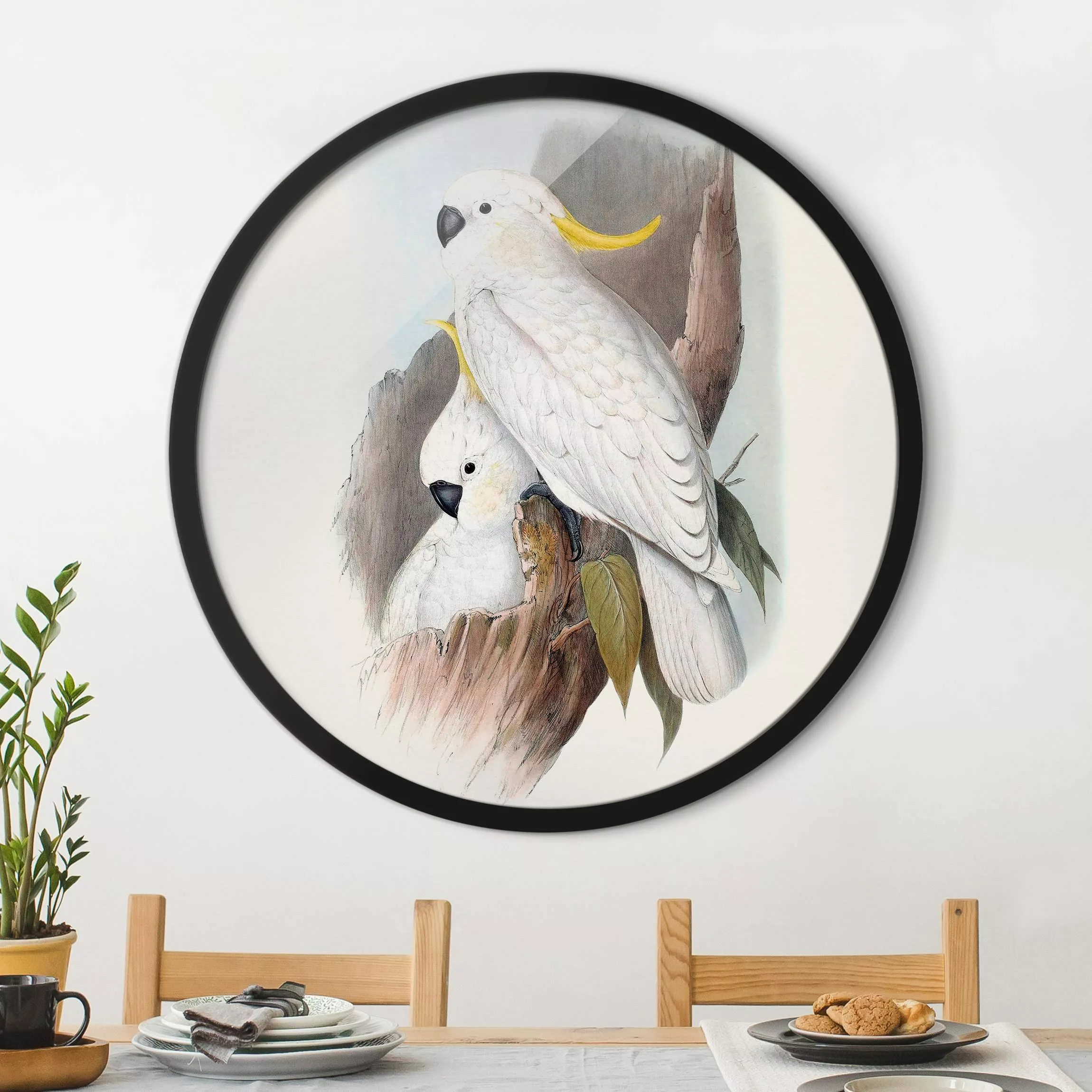 Rundes Gerahmtes Bild Pastell Papageien III günstig online kaufen