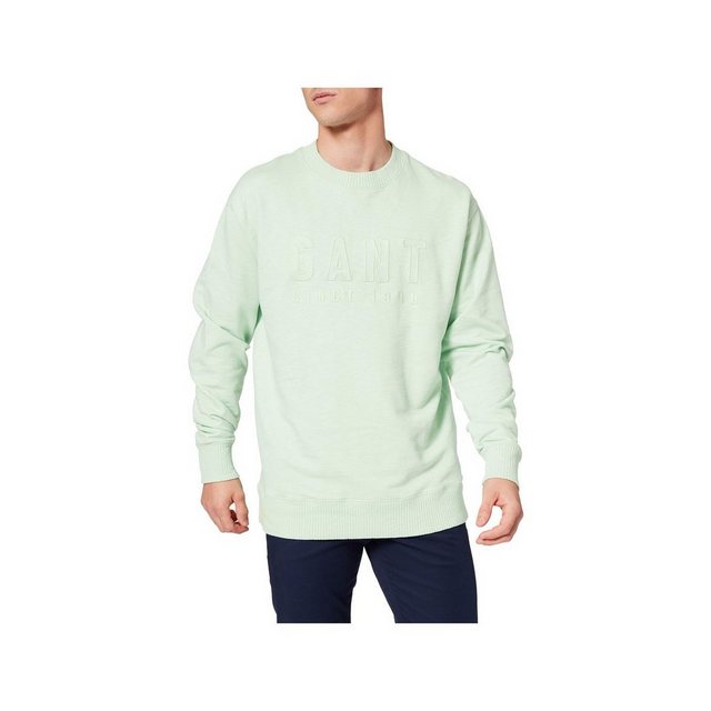 Gant Hoodie grÃ¼n regular fit (1-tlg., keine Angabe) günstig online kaufen