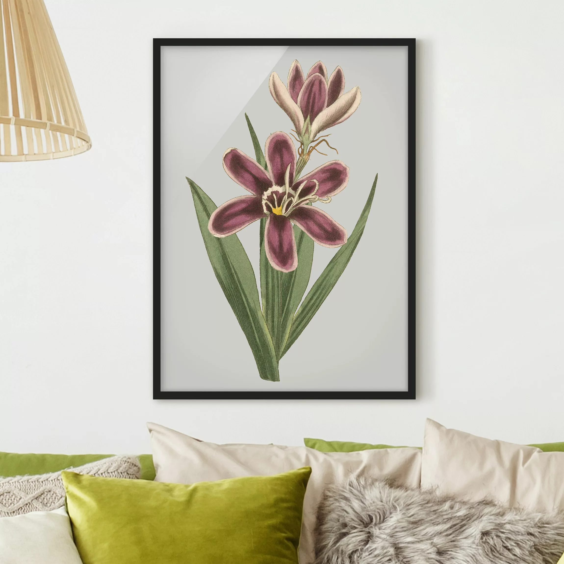 Bild mit Rahmen Blumen - Hochformat Florale Schmuckstücke II günstig online kaufen