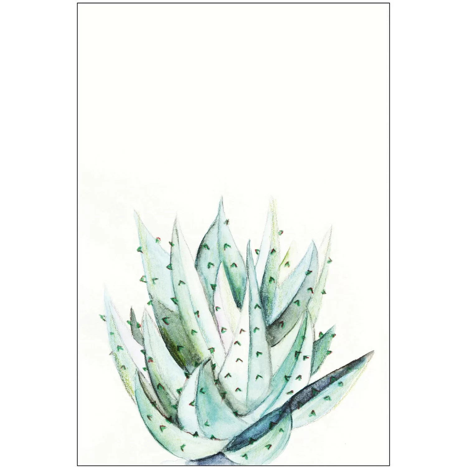 Komar Bild "Aloe Watercolor", Pflanzen-Blätter, (1 St.), Wandbild zur Dekor günstig online kaufen