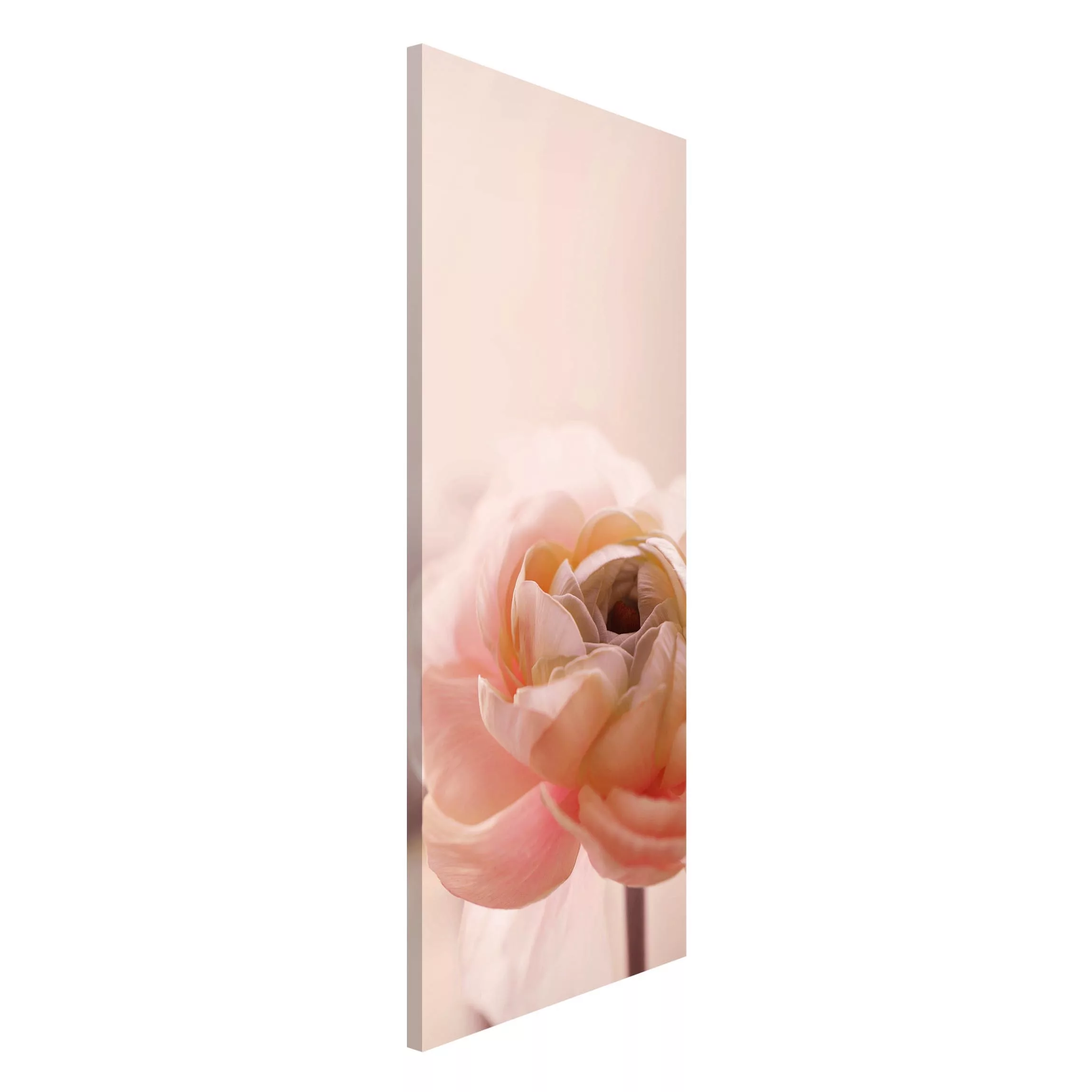 Magnettafel Rosa Blüte im Fokus günstig online kaufen