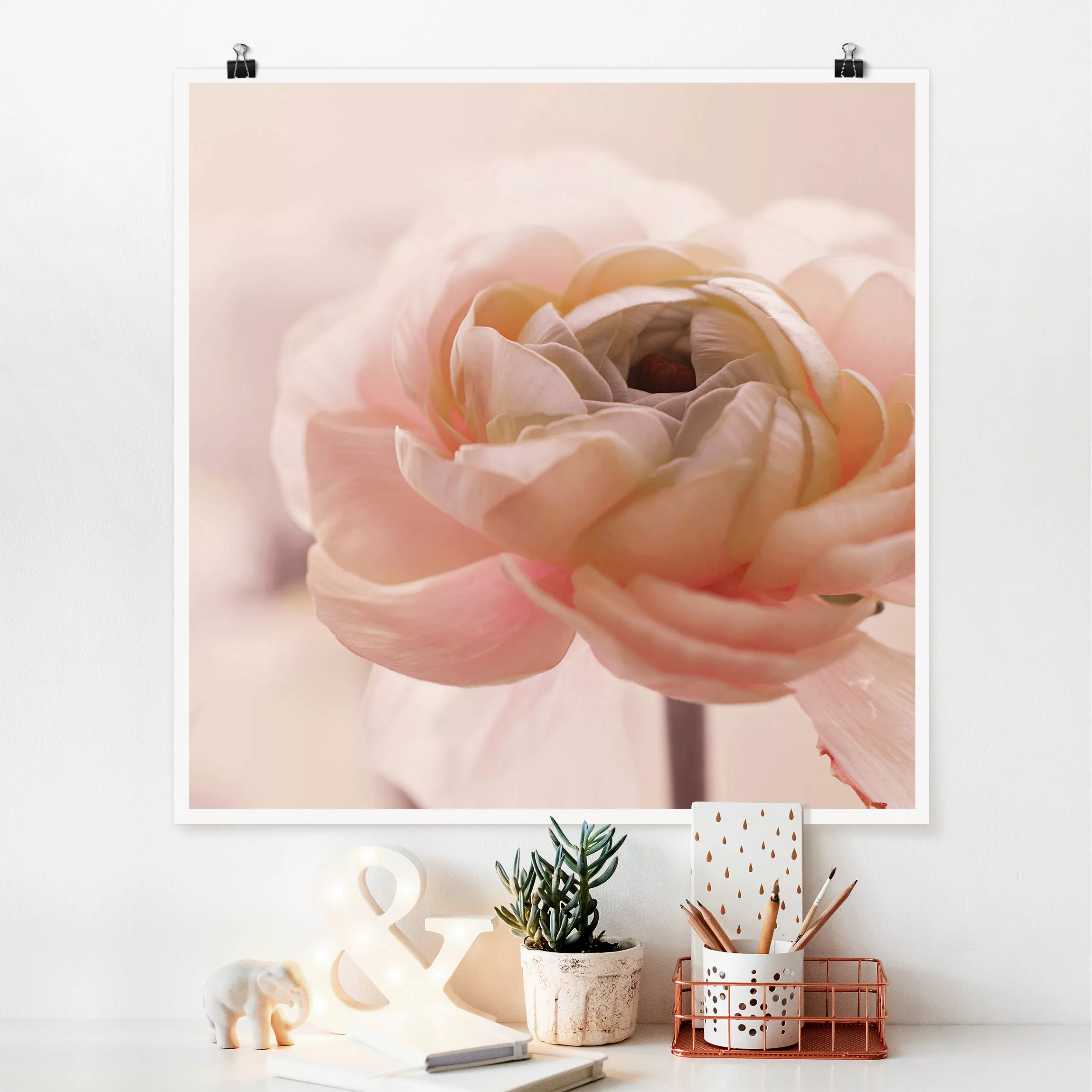 Poster Rosa Blüte im Fokus günstig online kaufen