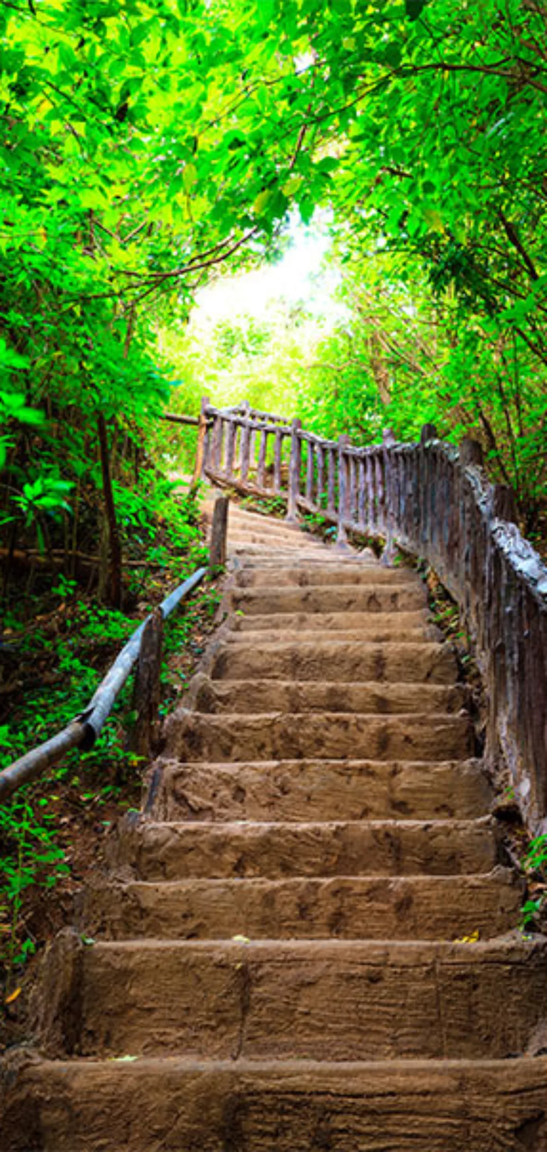 Türtapete - Photo Wallpaper  Stairs From Nature I günstig online kaufen