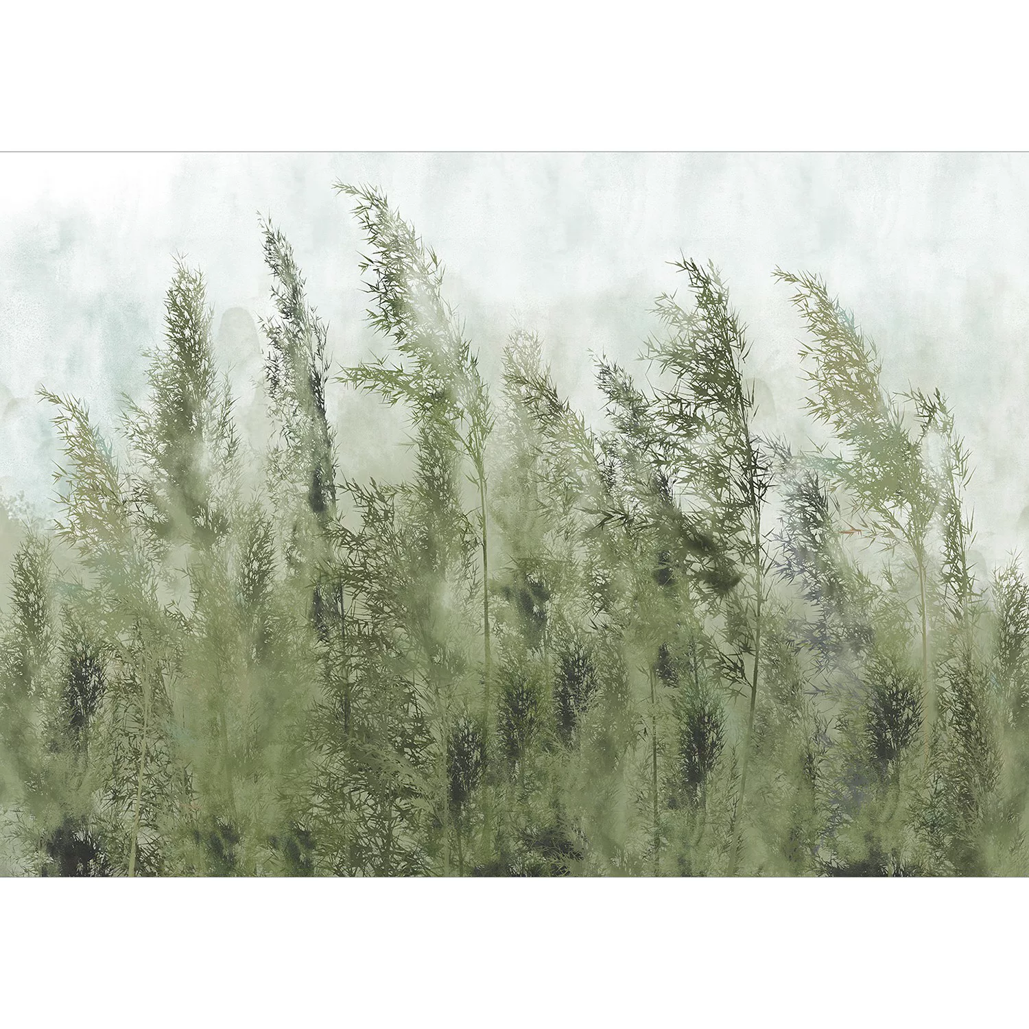 Fototapete - Tall Grasses - Green günstig online kaufen