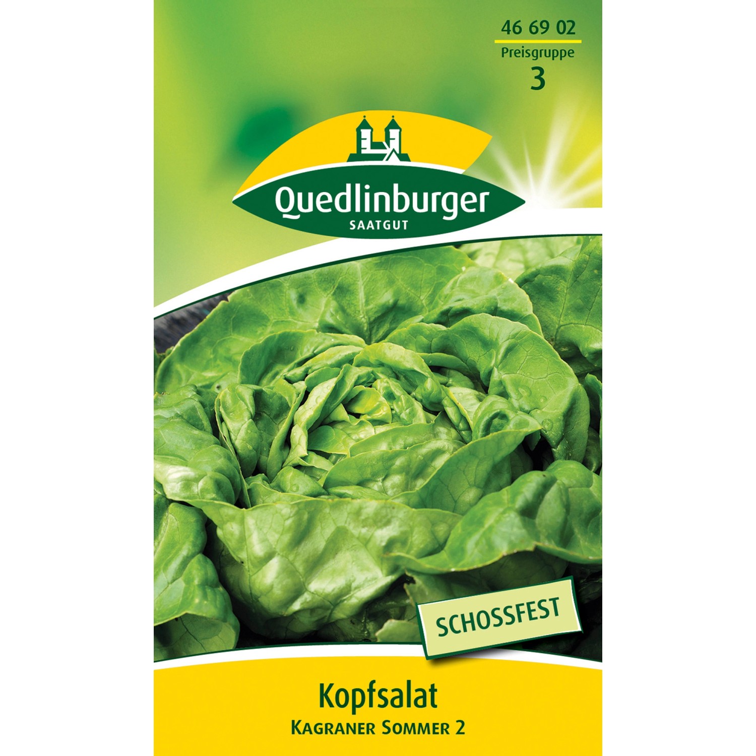 Quedlinburger Kopf Salat ''Kagraner Sommer 2'' günstig online kaufen