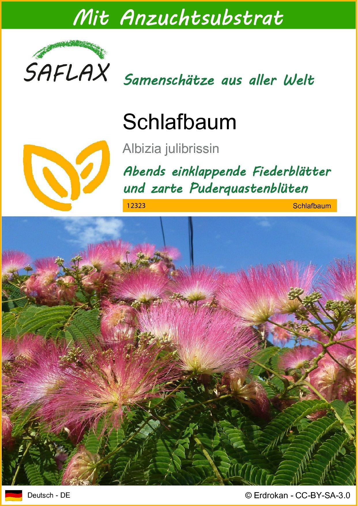 SAFLAX Blumensamen SAFLAX - Mit Substrat günstig online kaufen
