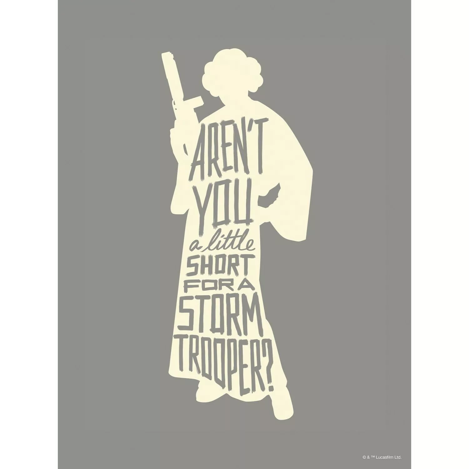 Disney Poster Leia Quotes Grau 30 x 40 cm 612162 günstig online kaufen