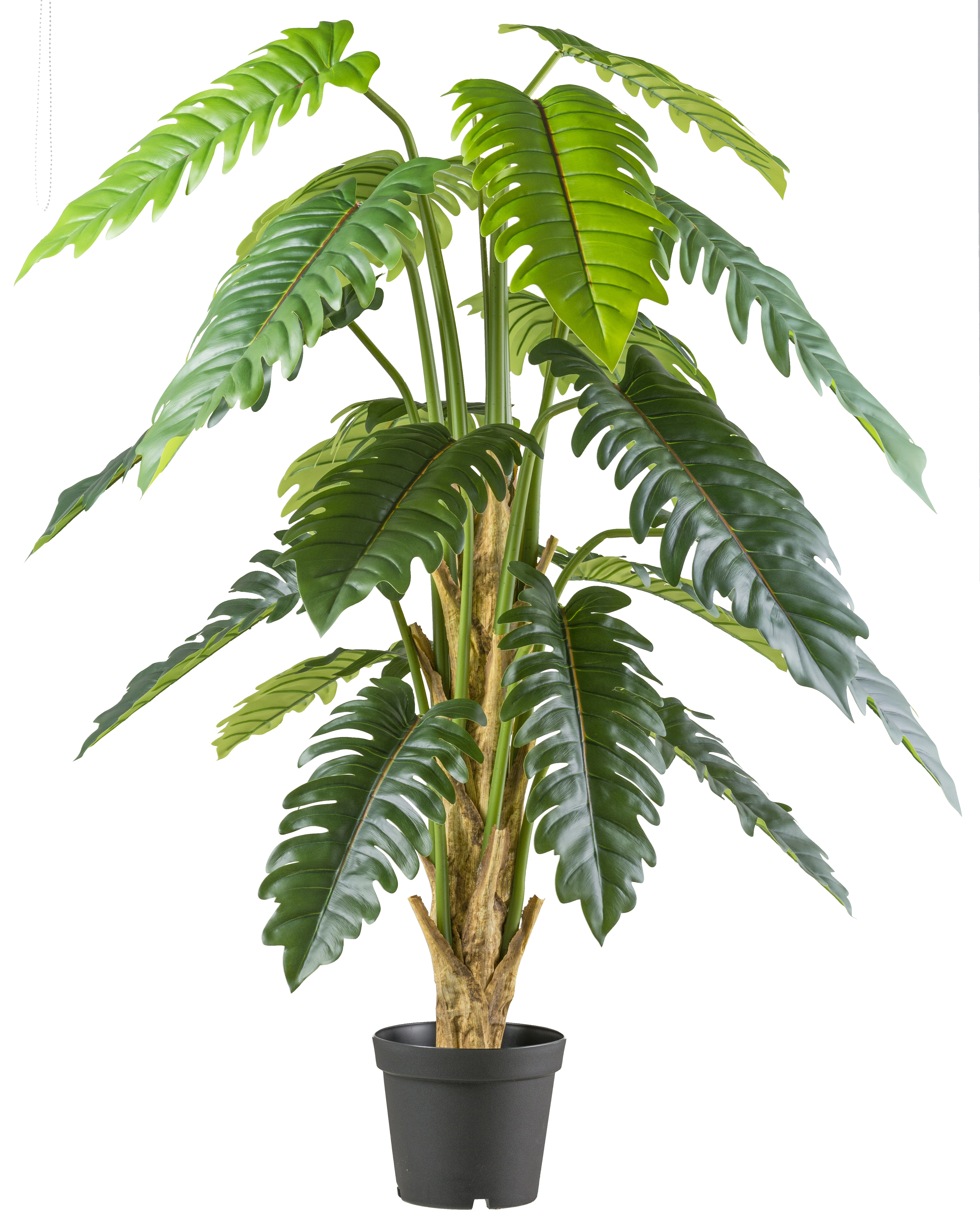 Creativ green Kunstbaum "Philodendron xanadu", mit großformatigem Blattwerk günstig online kaufen