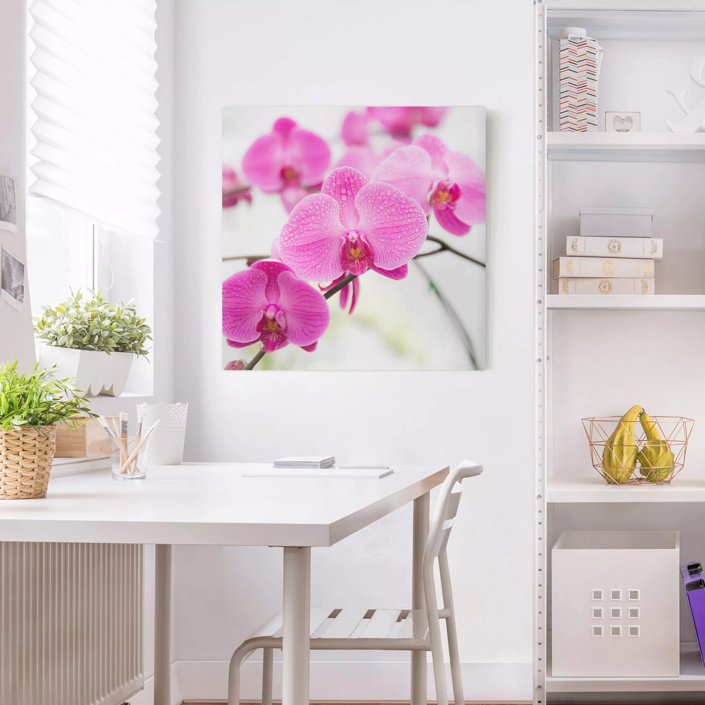 Leinwandbild Blumen - Quadrat Nahaufnahme Orchidee günstig online kaufen