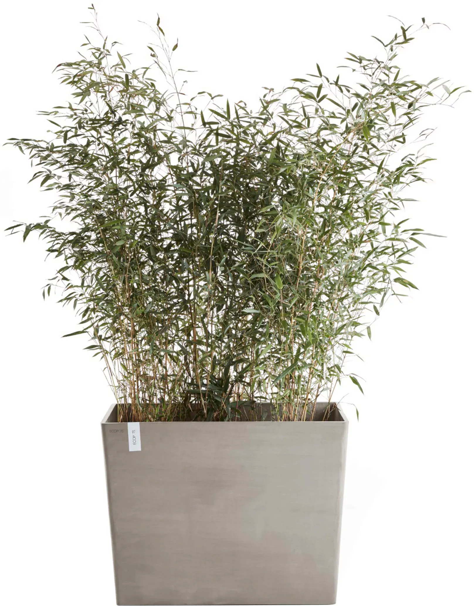 ECOPOTS Blumentopf "Paris mit Rollen 85 Taupe", für den Außenbereich: frost günstig online kaufen