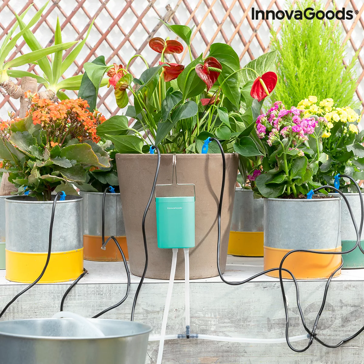 Automatisches Tropfbewässerungssystem Für Blumentöpfe Regott Innovagoods günstig online kaufen