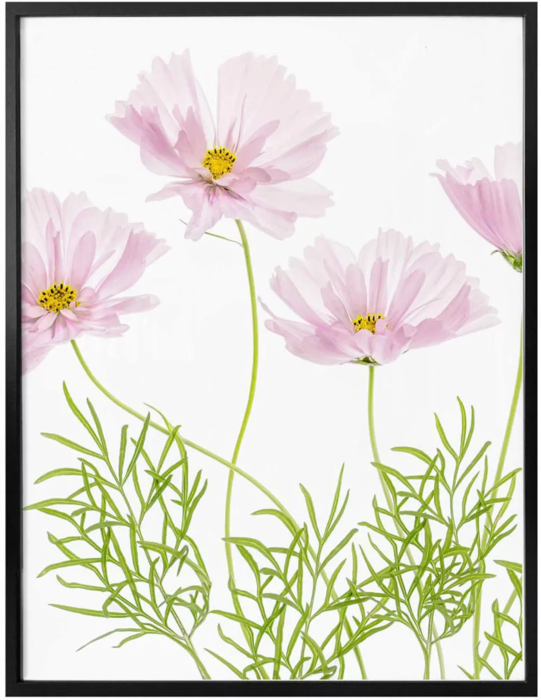 Wall-Art Poster "Sommerblume", Blumen, (1 St.), Poster ohne Bilderrahmen günstig online kaufen