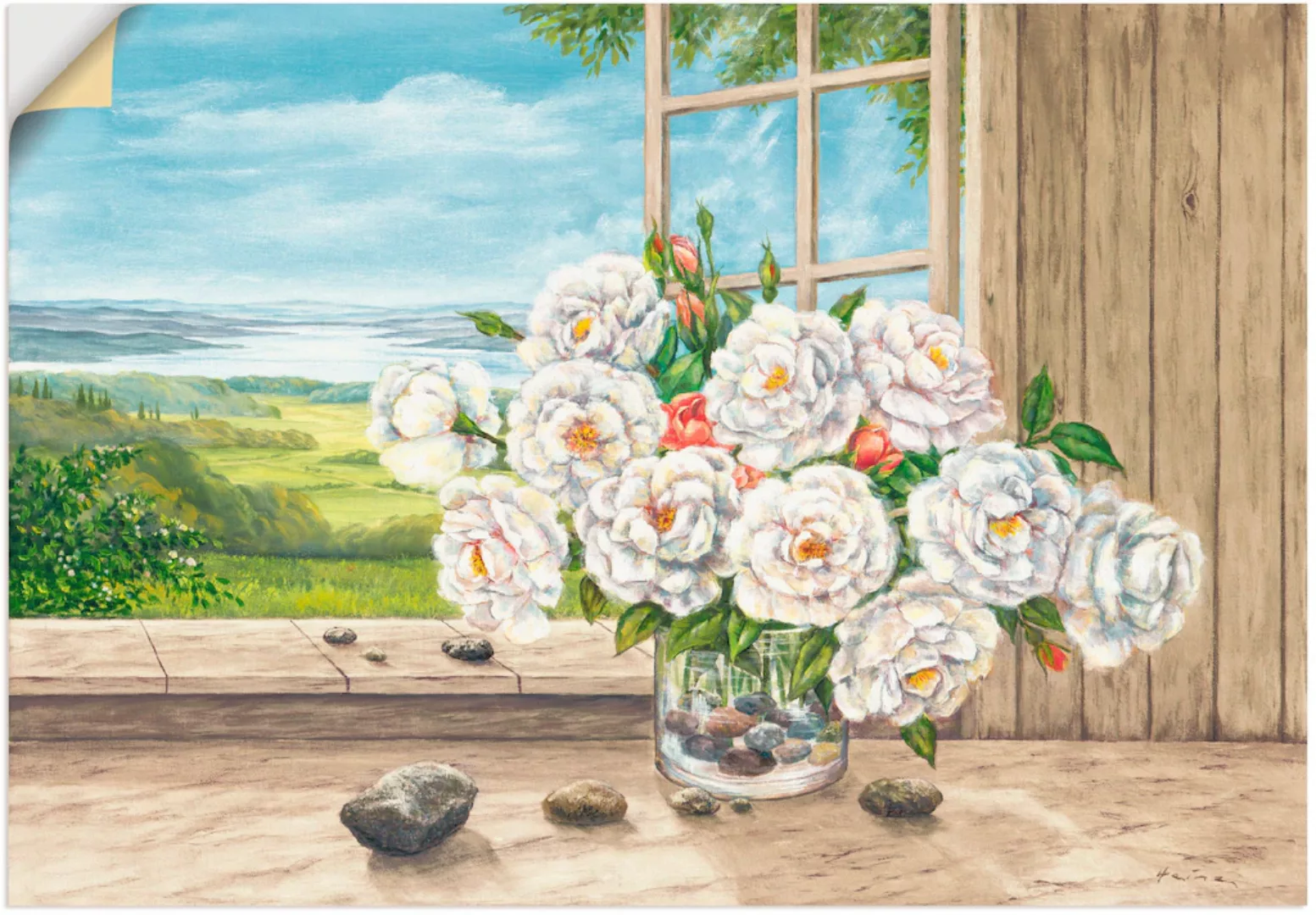 Artland Wandbild "Weiße Rosen am Fenster", Blumen, (1 St.) günstig online kaufen