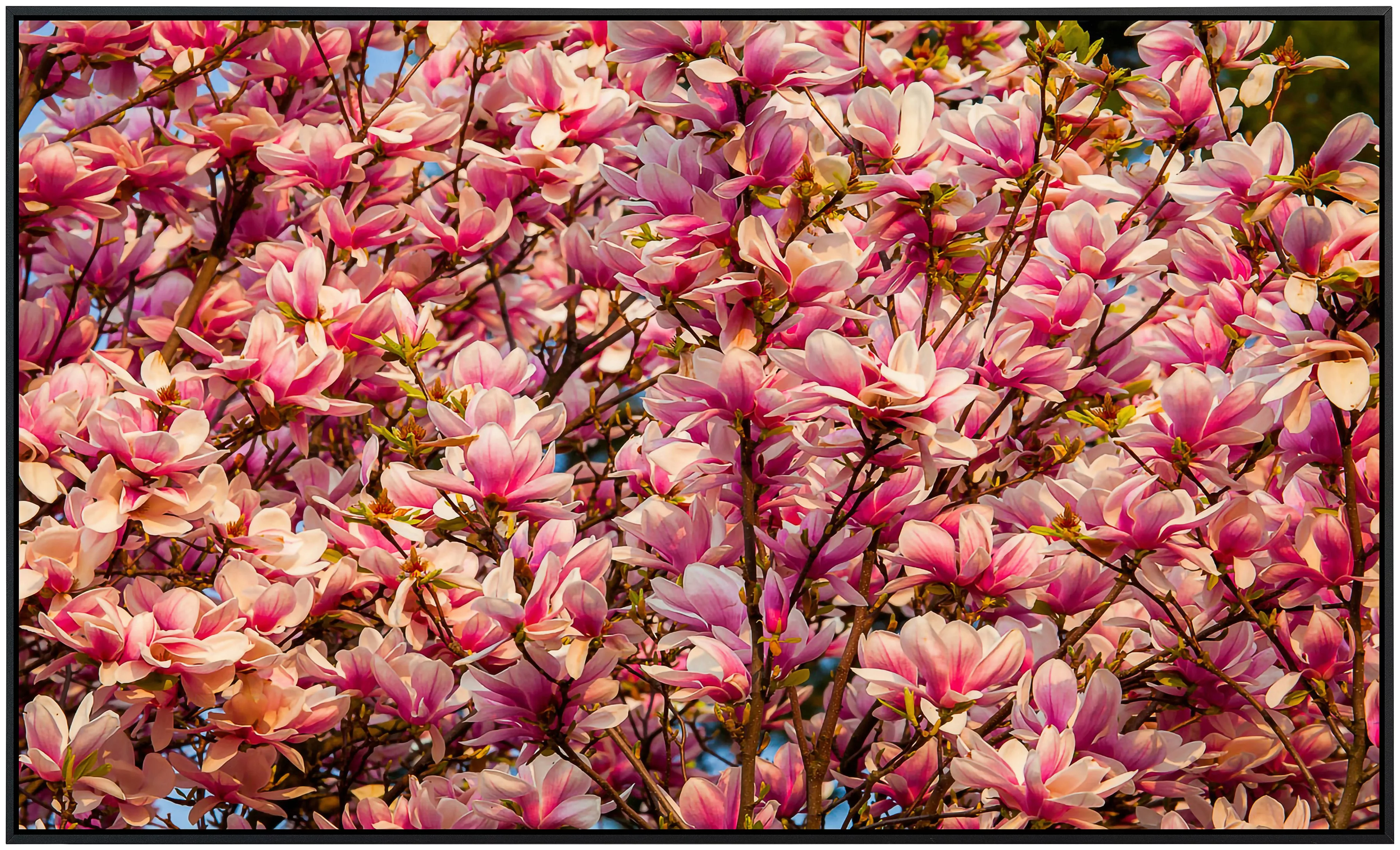 Papermoon Infrarotheizung »Blüten Baum«, sehr angenehme Strahlungswärme günstig online kaufen