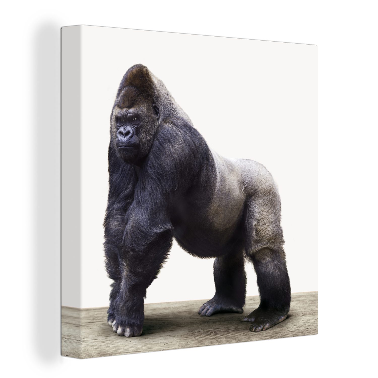 OneMillionCanvasses® Leinwandbild Gorilla - Tiere - günstig online kaufen