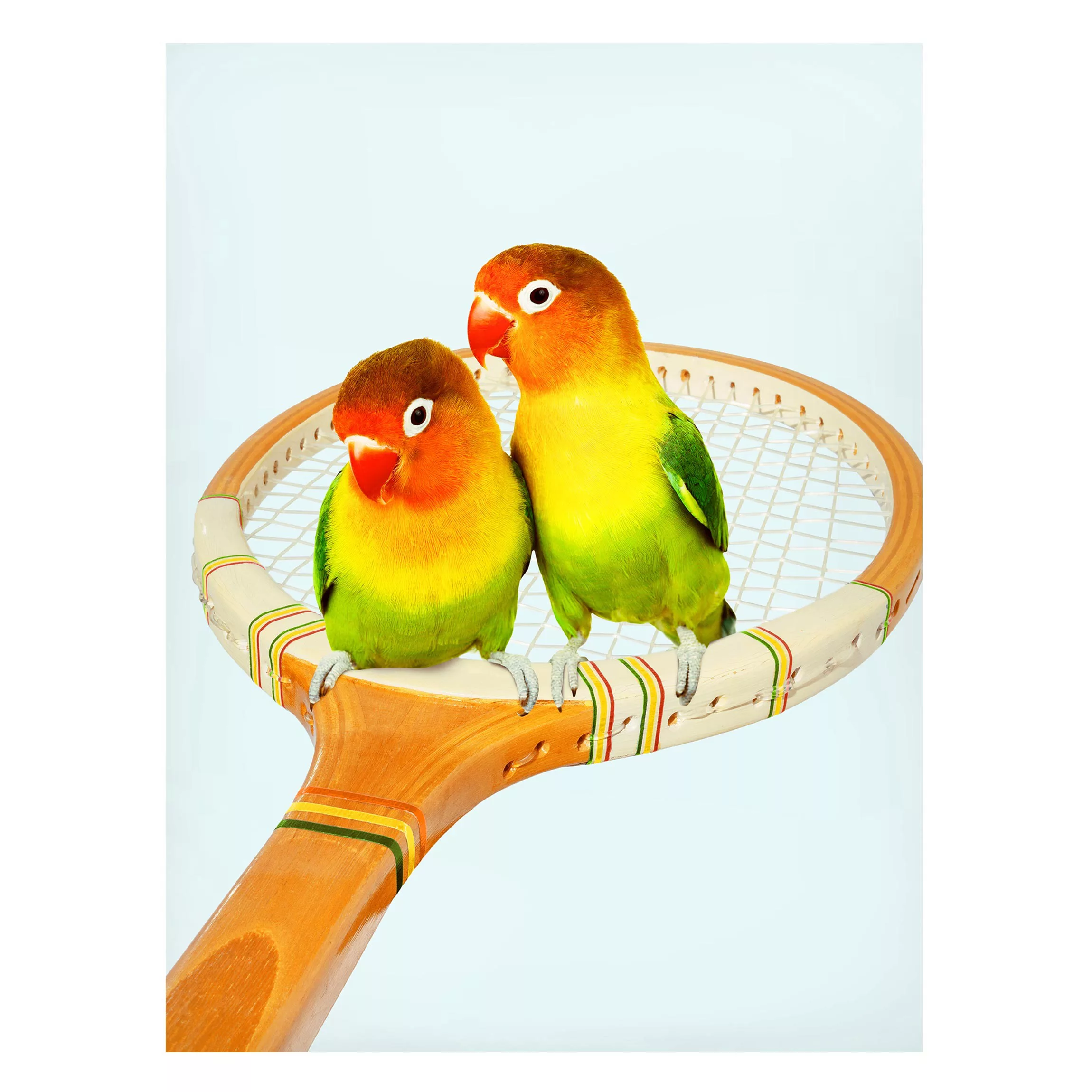 Magnettafel Tiere - Hochformat 3:4 Tennis mit Vögeln günstig online kaufen