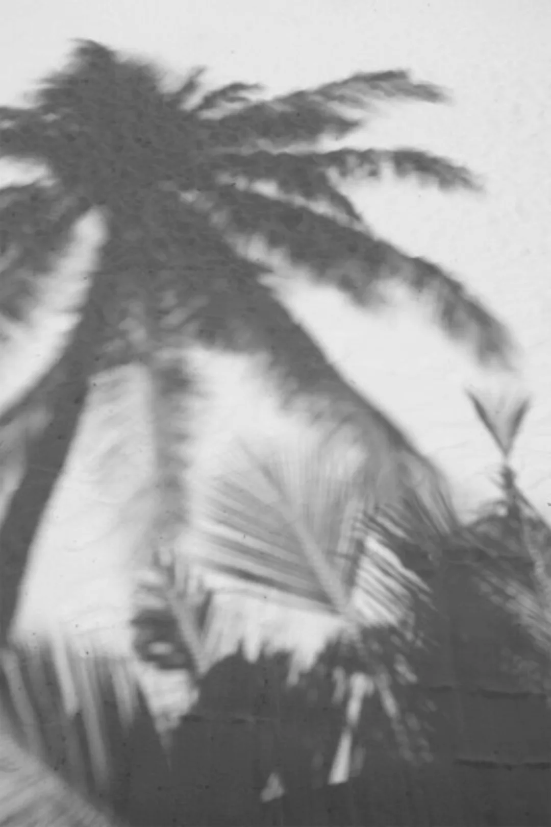 Poster / Leinwandbild - Palms On The Beach günstig online kaufen