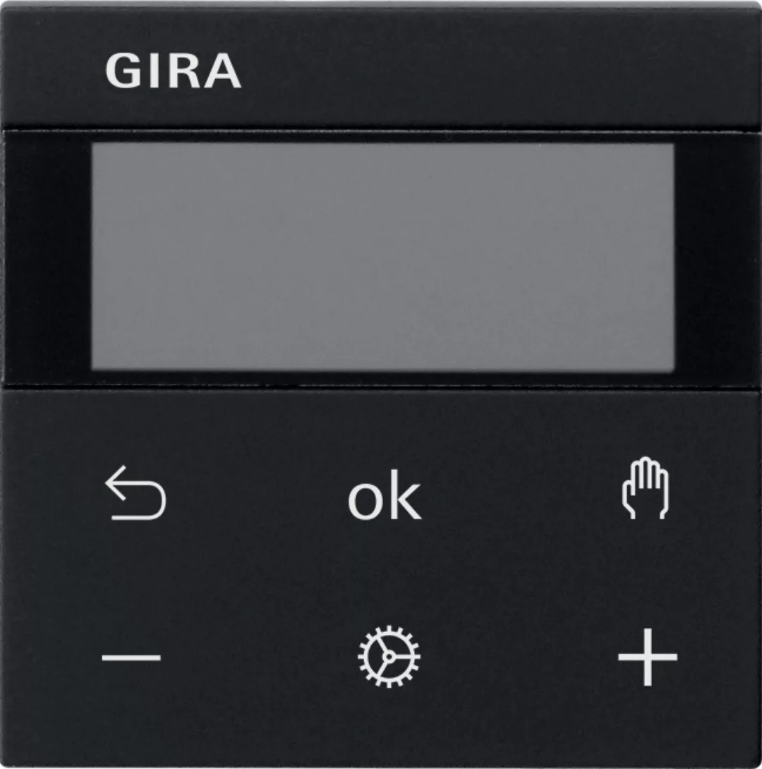 Gira RTR Display sw 5393005 günstig online kaufen