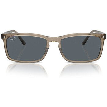 Ray-ban  Sonnenbrillen Sonnenbrille  RB4435 6765R5 günstig online kaufen