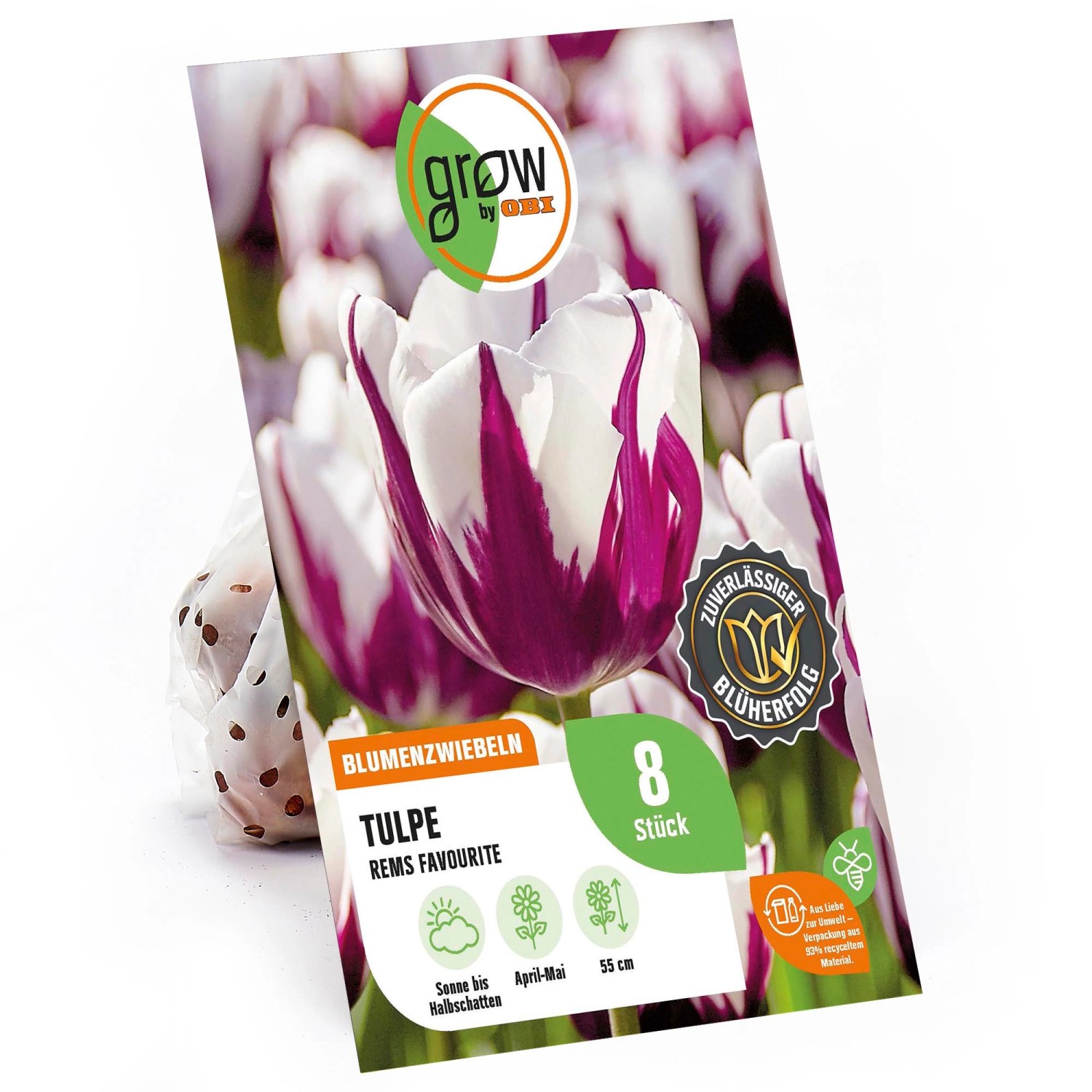 GROW by OBI Tulpe Rem's Favourite Weiß-Purpur 8 Stück Tulipa günstig online kaufen