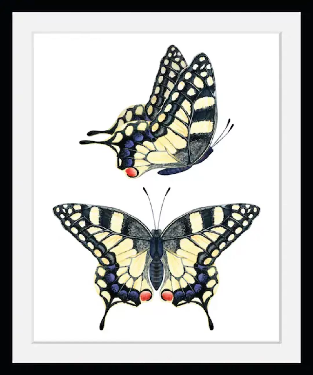queence Bild "Emily", Schmetterlinge, (1 St.) günstig online kaufen
