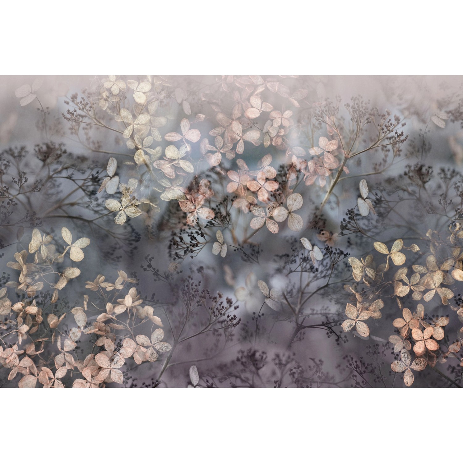 Bricoflor 3D Tapete mit Blumen Vlies Fototapete Floral Ideal für Wohnzimmer günstig online kaufen