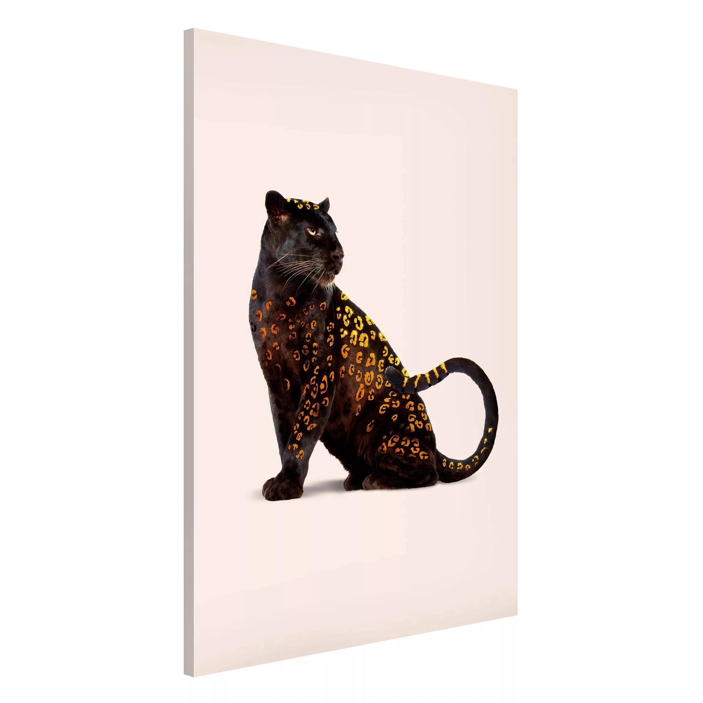 Magnettafel Tiere - Hochformat 2:3 Goldener Panther günstig online kaufen