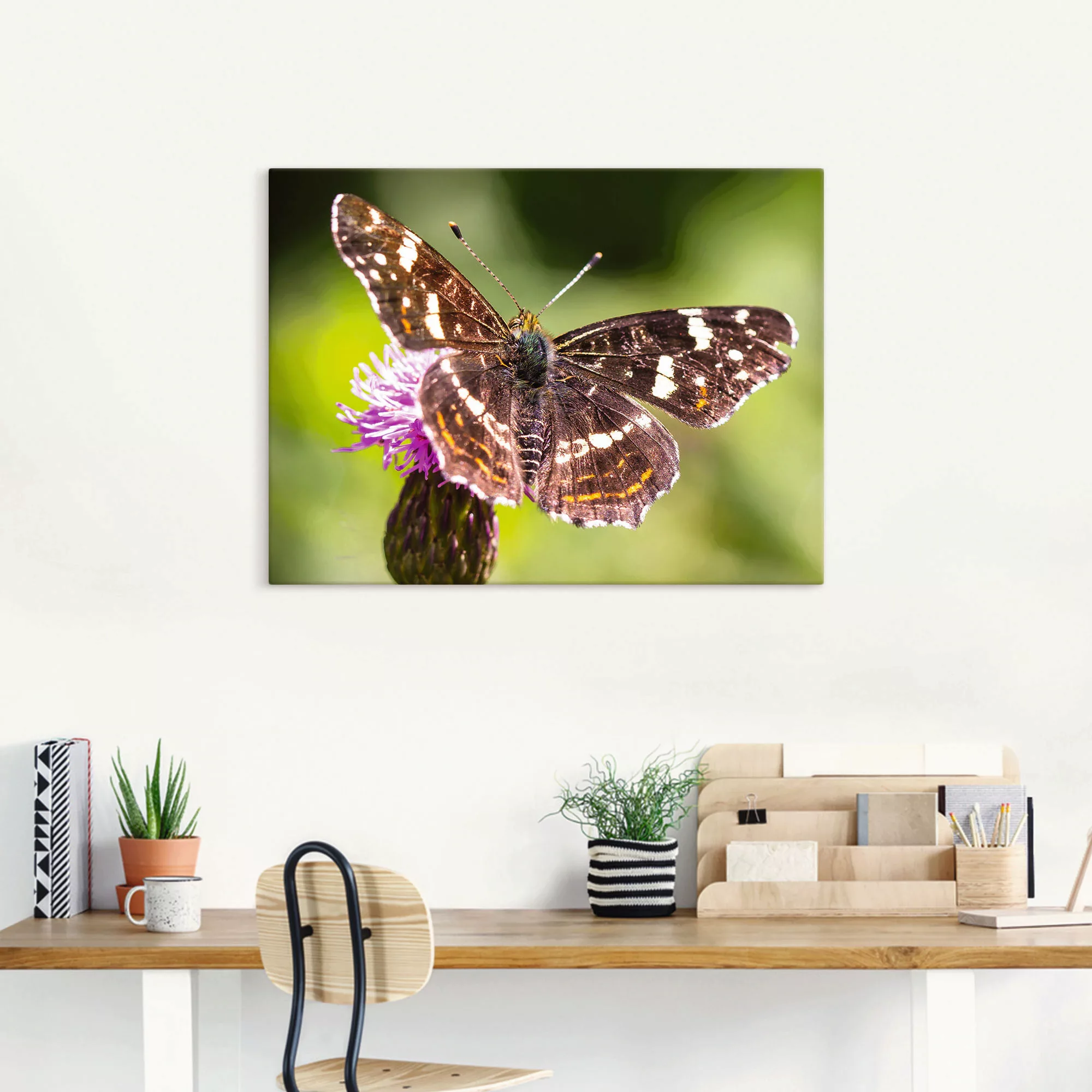 Artland Leinwandbild »Sommer«, Schmetterlinge, (1 St.), auf Keilrahmen gesp günstig online kaufen