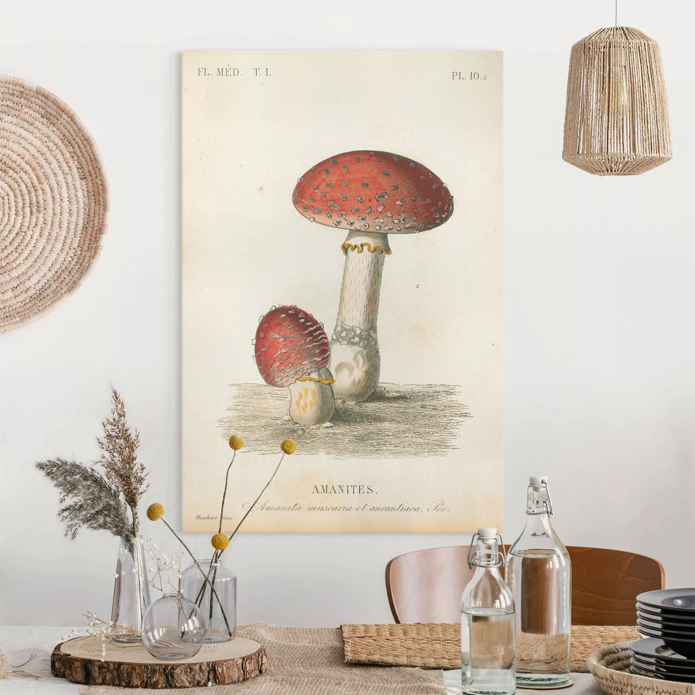 Leinwandbild Französische Pilze II günstig online kaufen