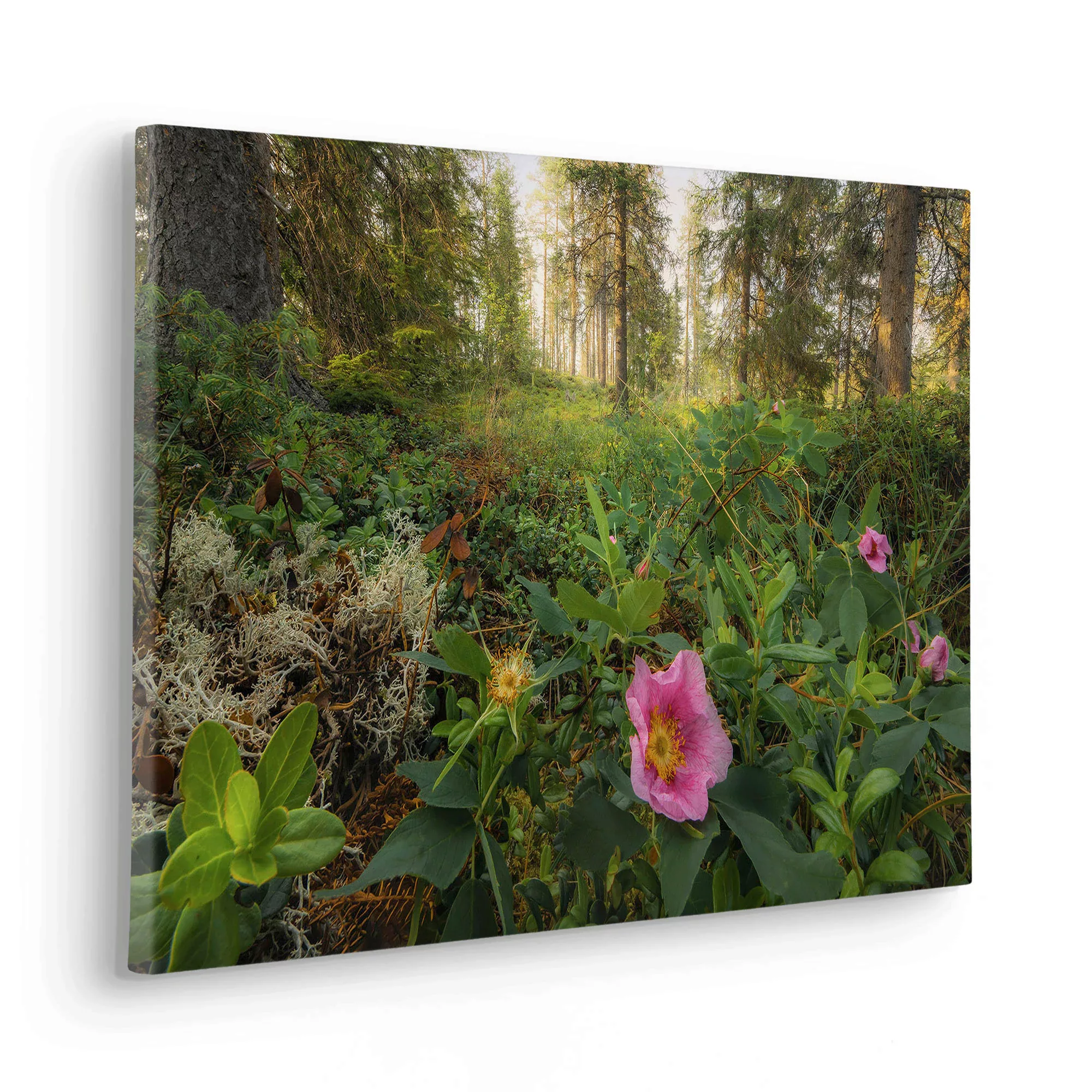 Komar Leinwandbild "Keilrahmenbild - Charming Woods - Größe 60 x 40 cm", Ba günstig online kaufen