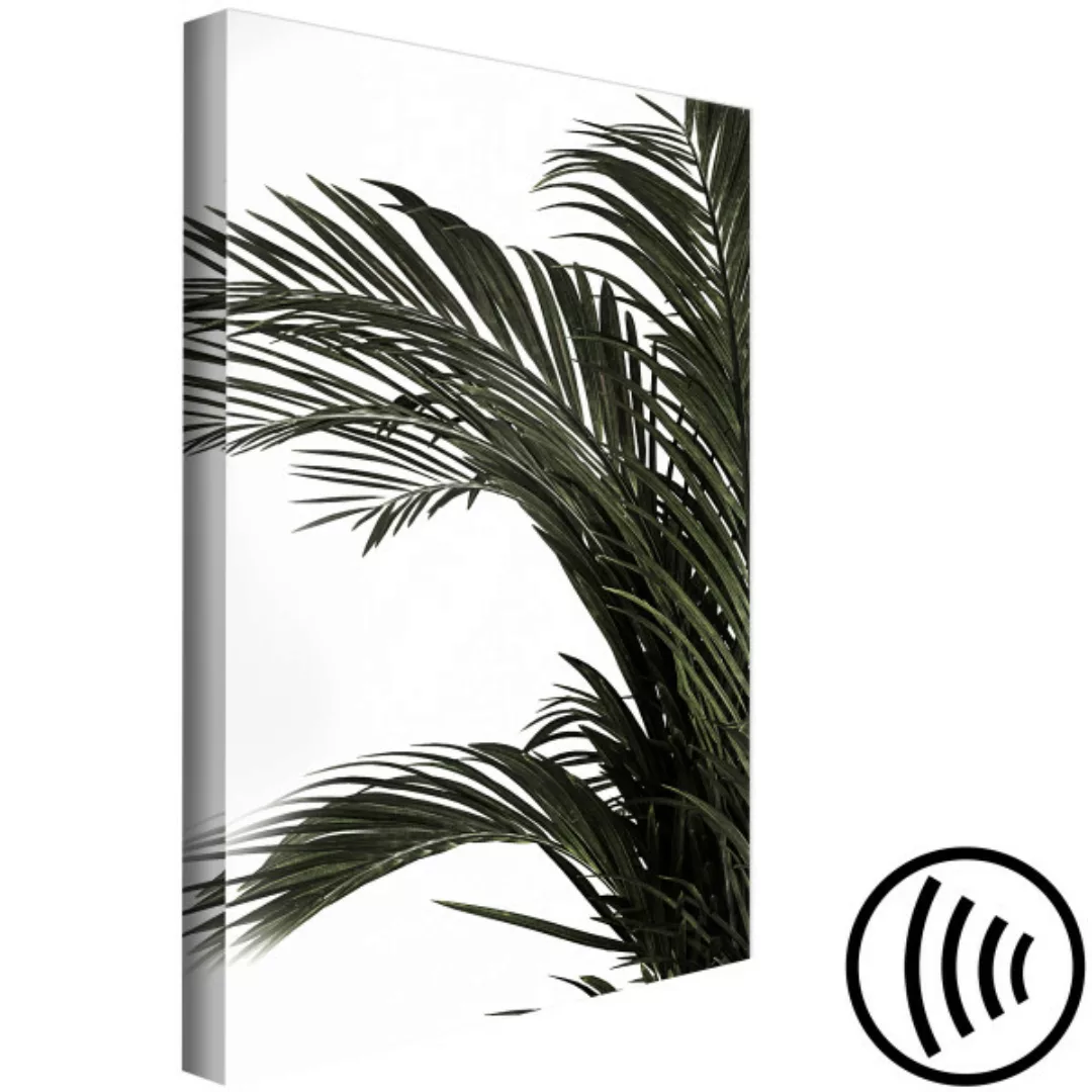 Leinwandbild Haus-Palme - minimalistisches, botanisches Motiv mit Palmblätt günstig online kaufen