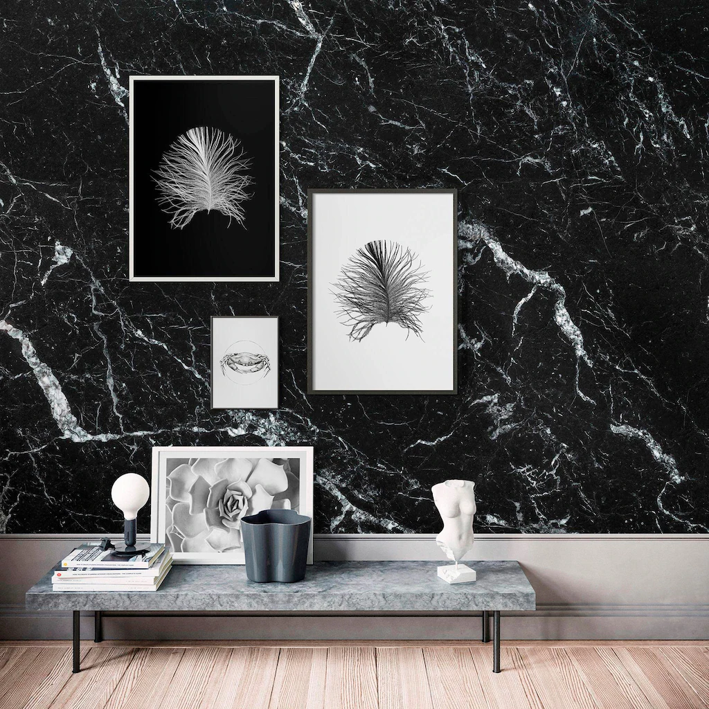 Komar Bild "Feather Black", Federn, (1 St.), Wandbild zur Dekoration - ohne günstig online kaufen