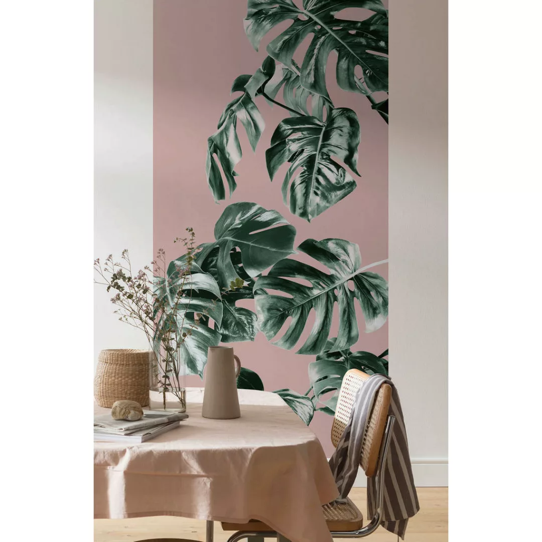 Komar Fototapete Monstera Rosé Panel B/L: ca. 100x250 cm günstig online kaufen