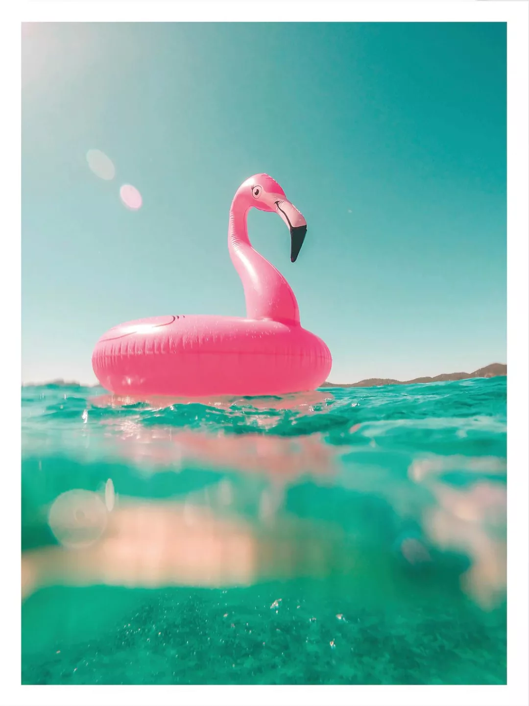 Wall-Art Poster "Flamingo macht Urlaub am Meer", Poster ohne Bilderrahmen günstig online kaufen