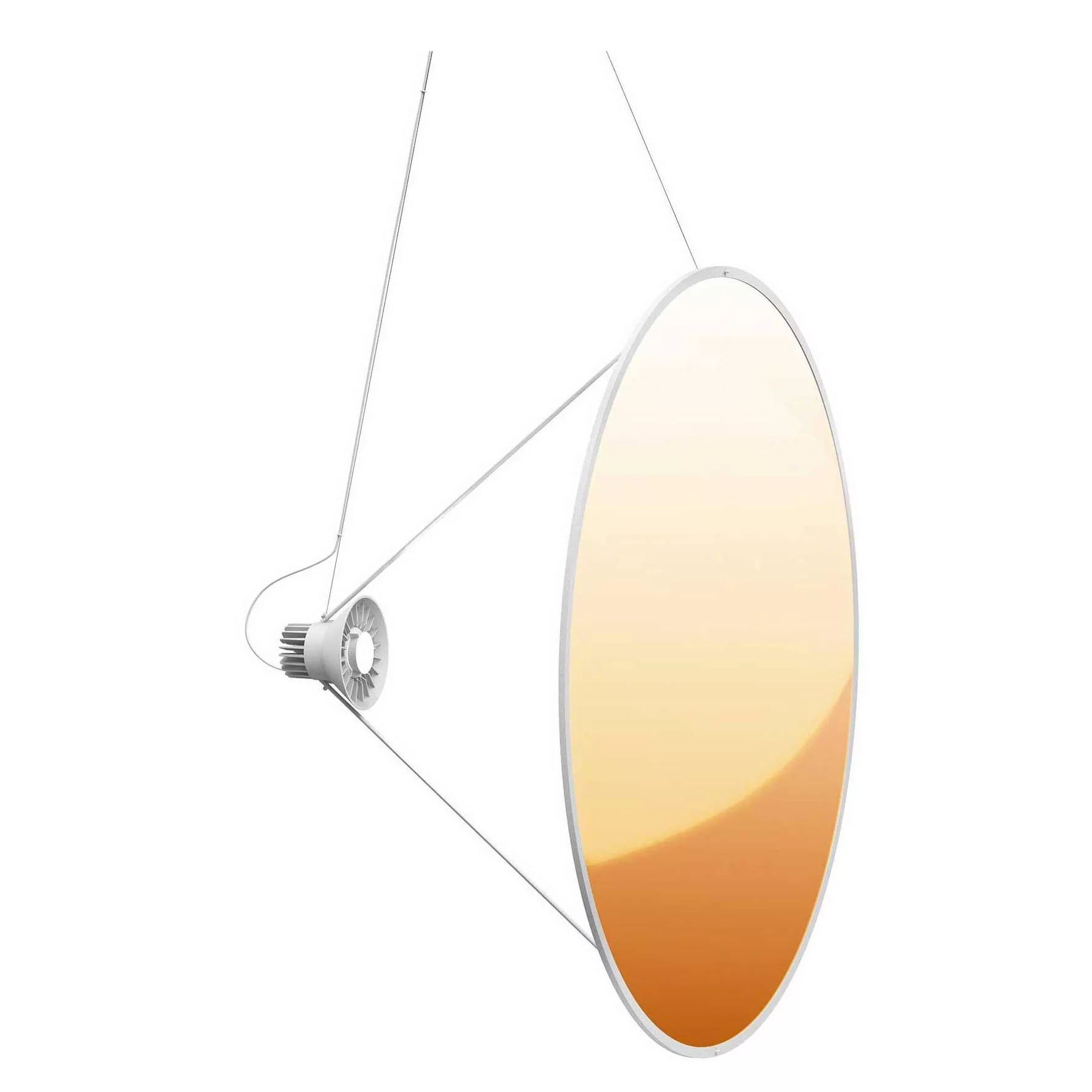 LucePlan - Amisol D91 LED Pendelleuchte Ø 110cm - gold/Ø 110cm/Gestell hell günstig online kaufen
