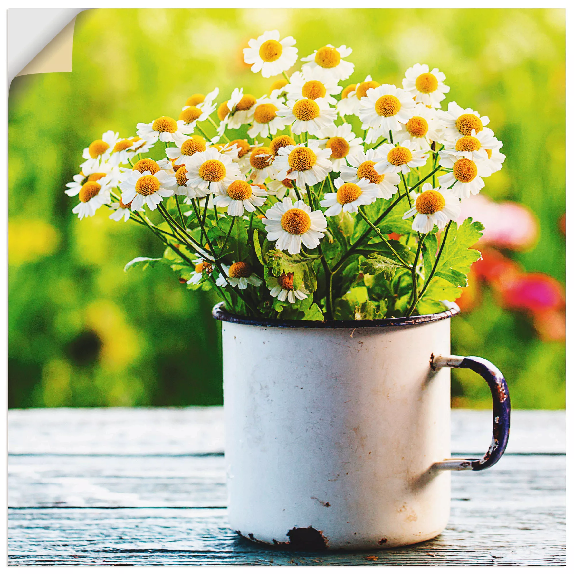 Artland Wandbild "Frühlingsgarten mit Gänseblümchen", Blumen, (1 St.), als günstig online kaufen