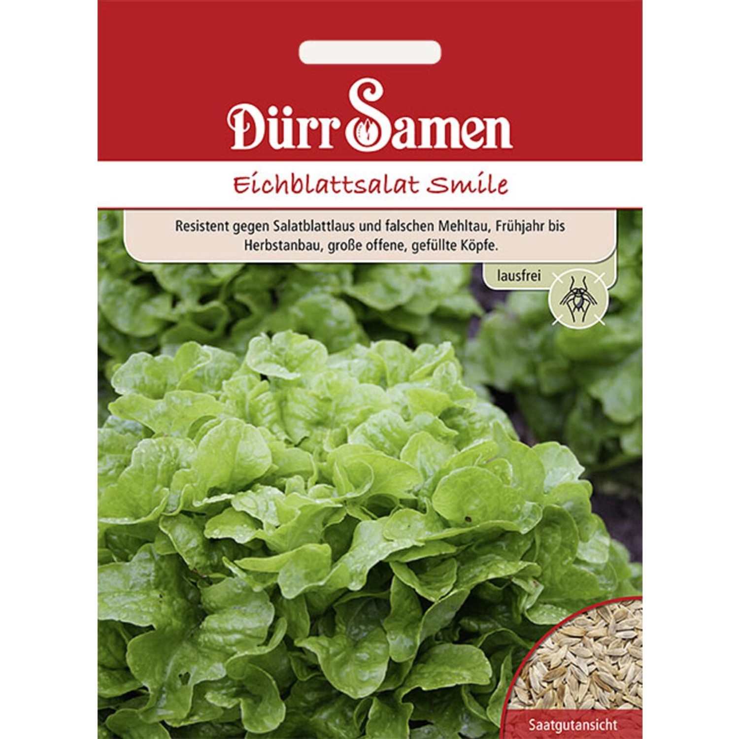 Dürr Samen Eichblattsalat Smile Saatgut günstig online kaufen