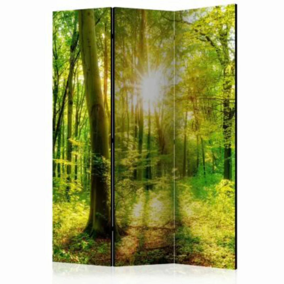 artgeist Paravent Forest Rays [Room Dividers] grau-kombi Gr. 135 x 172 günstig online kaufen