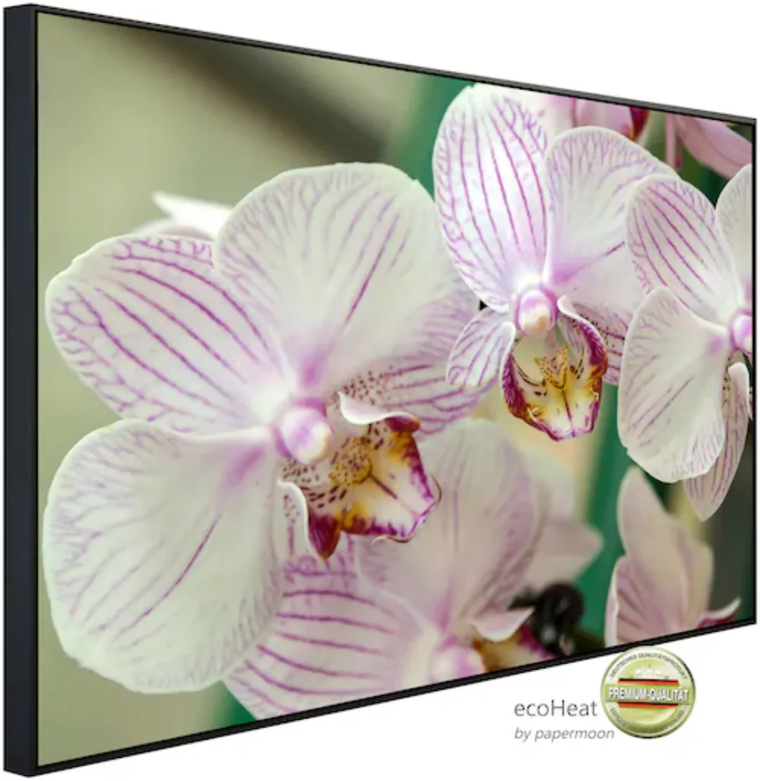 Papermoon Infrarotheizung »Weisse Orchidee« günstig online kaufen