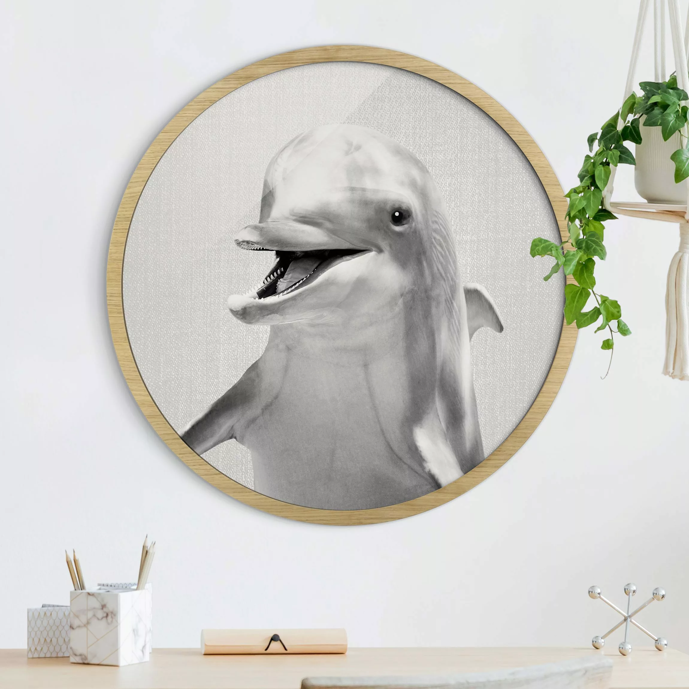 Rundes Gerahmtes Bild Delfin Diddi Schwarz Weiß günstig online kaufen