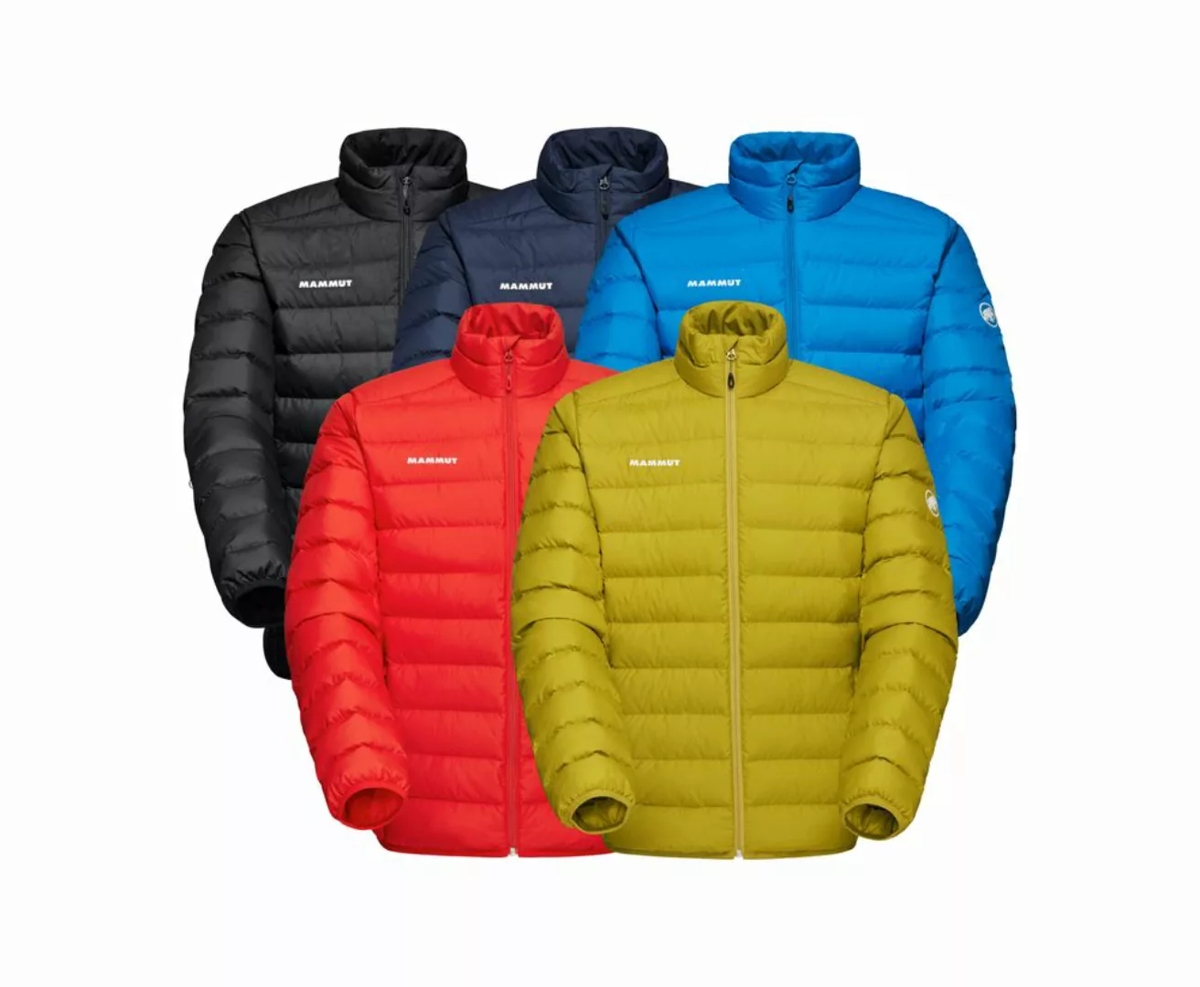 Mammut Softshelljacke Funktionsjacke Waymarker günstig online kaufen