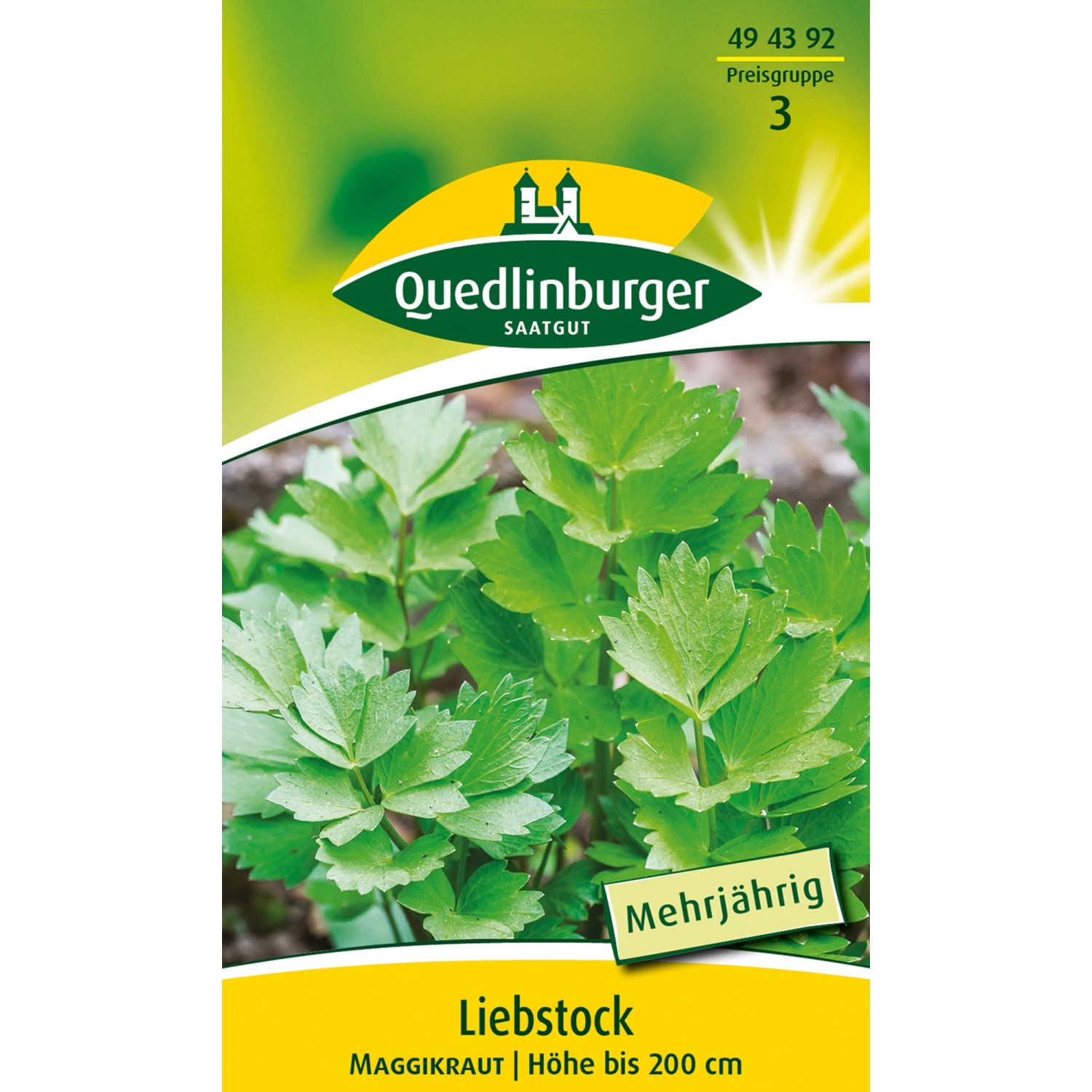 Quedlinburger Liebstock Maggikraut günstig online kaufen
