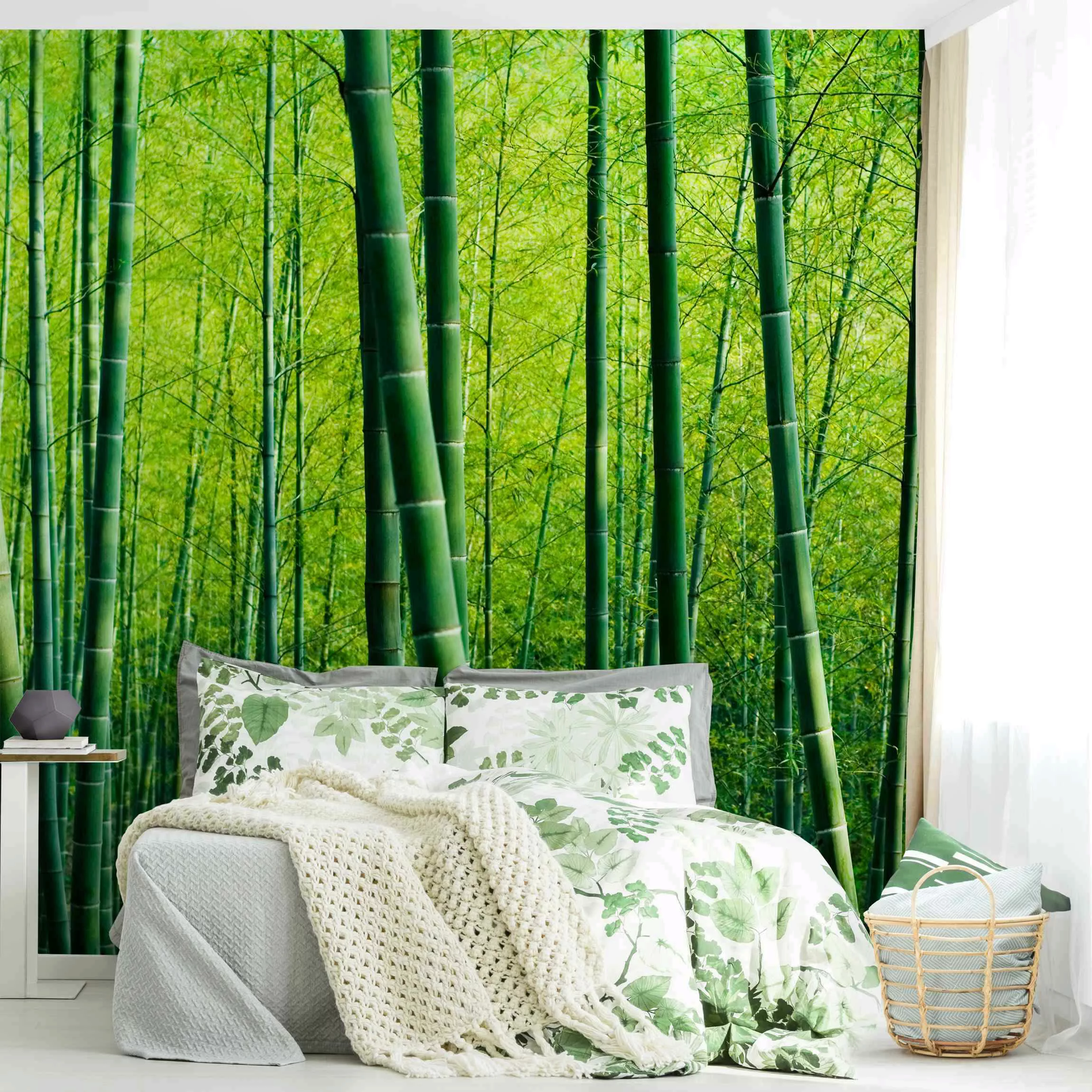 Bilderwelten Fototapete Bambuswald grün Gr. 384 x 255 günstig online kaufen