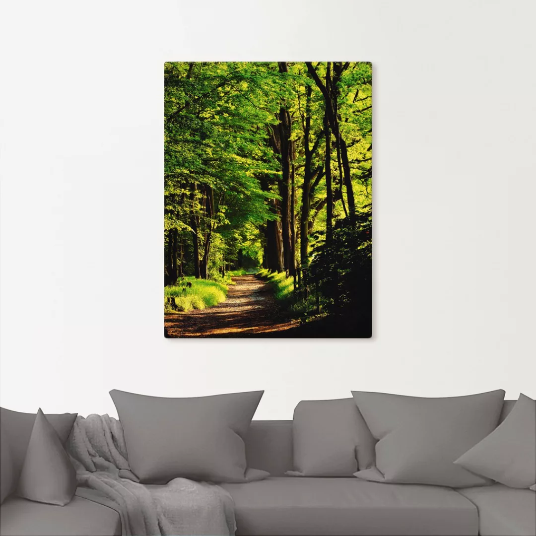 Artland Wandbild "Weg im Wald", Wald, (1 St.), als Alubild, Outdoorbild, Le günstig online kaufen