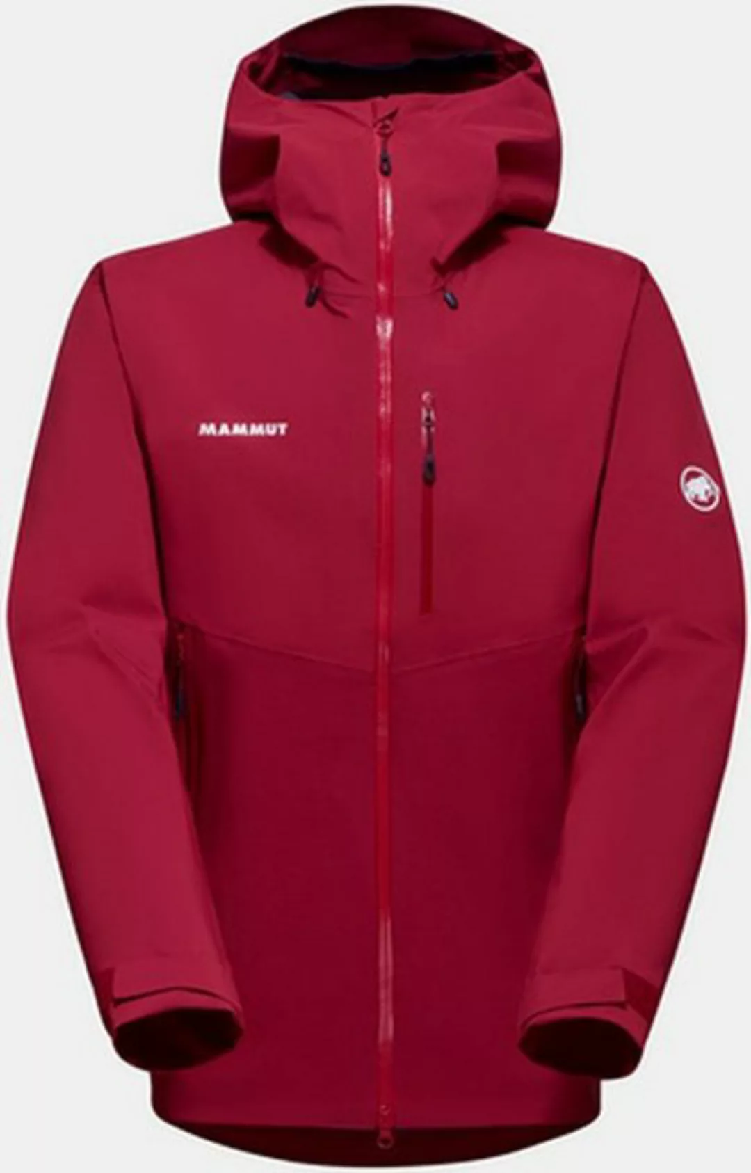 Mammut Alto Guide HS Hooded Jacket Men - Hardshelljacke günstig online kaufen